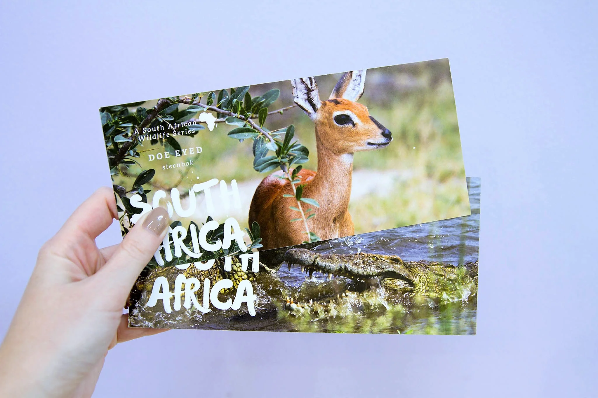African Animal Postcards