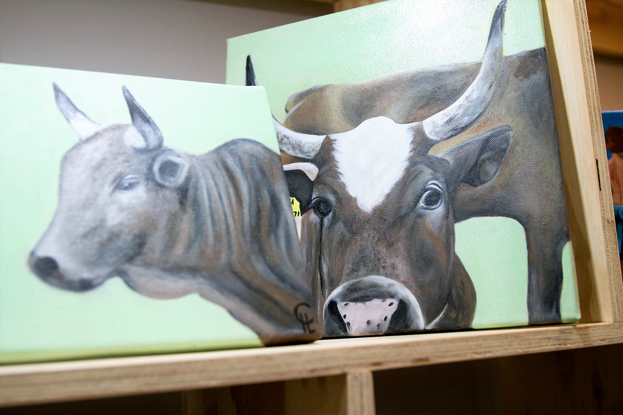 Oil & Acrylic Paintings