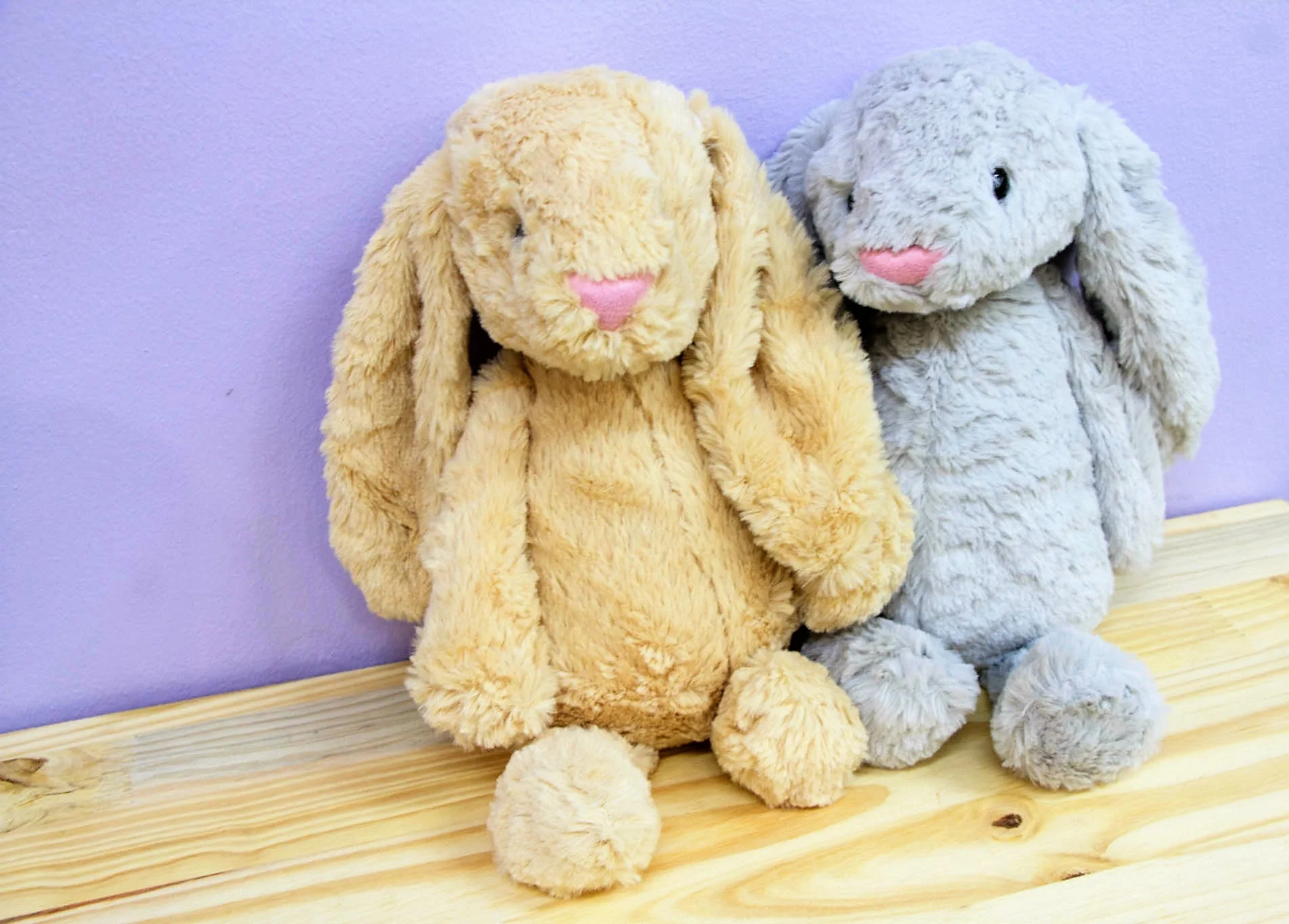 Soft Bunny Rabbit