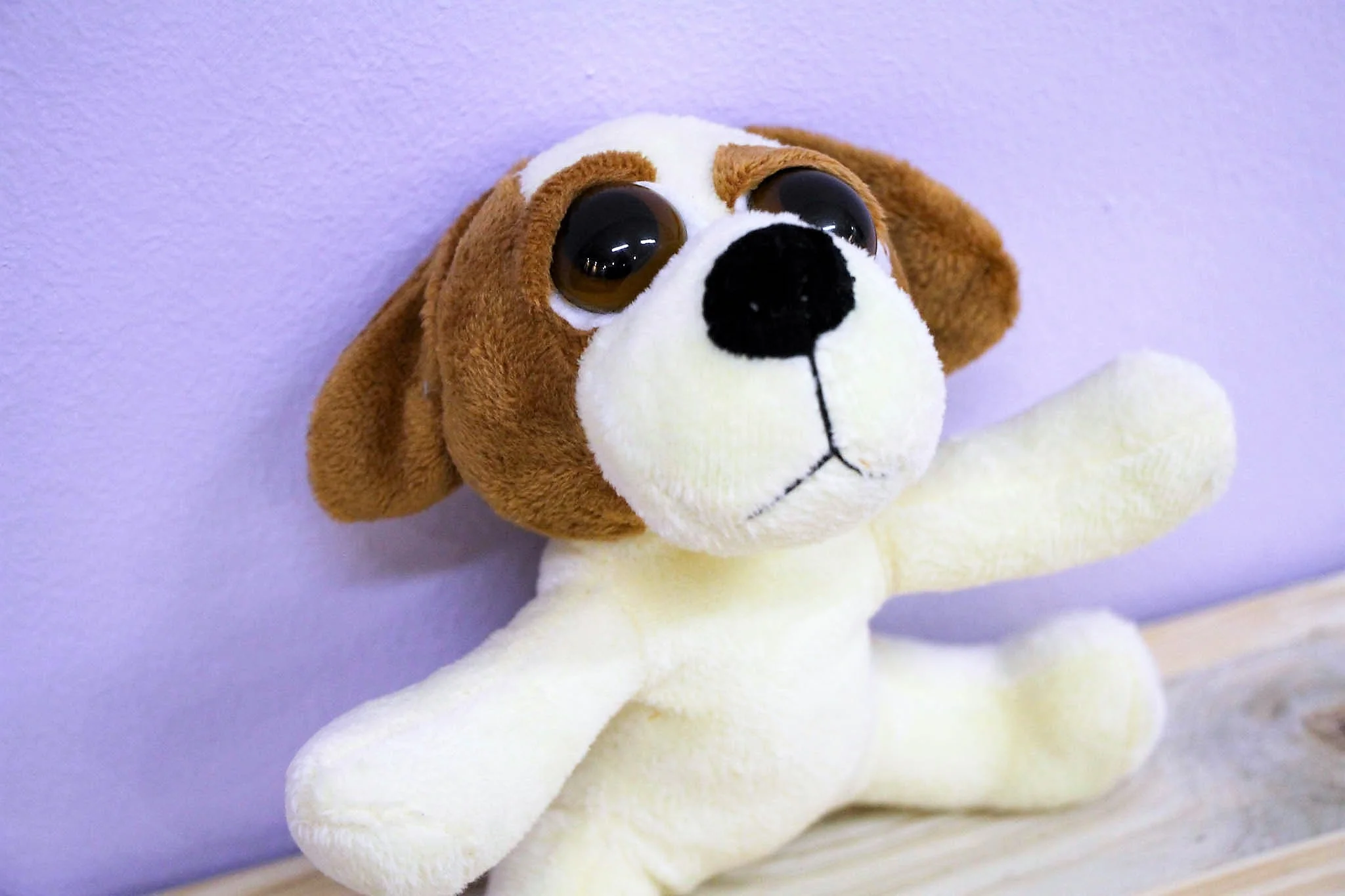 Dog Plush Toy