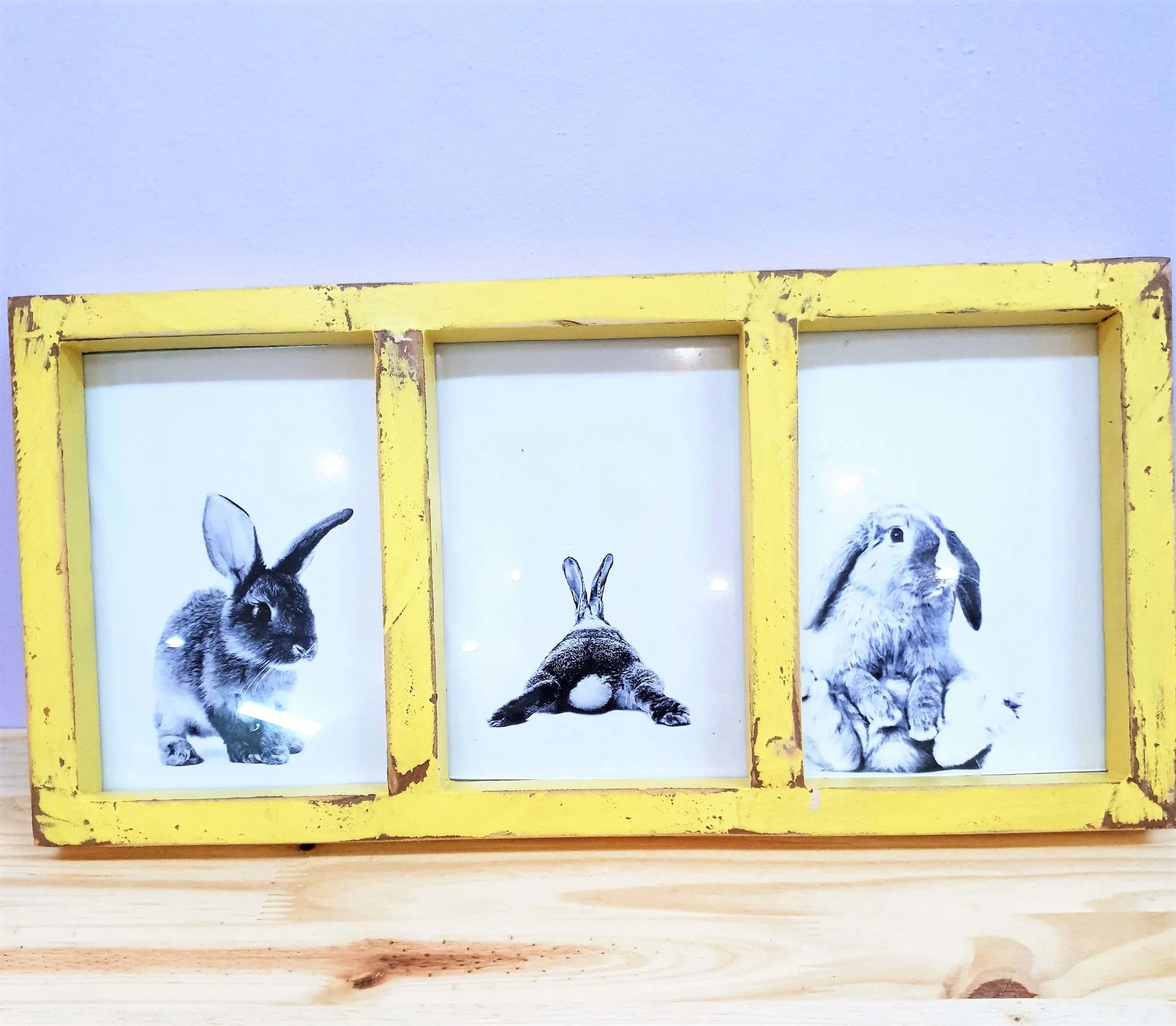 A5 Multi Frame