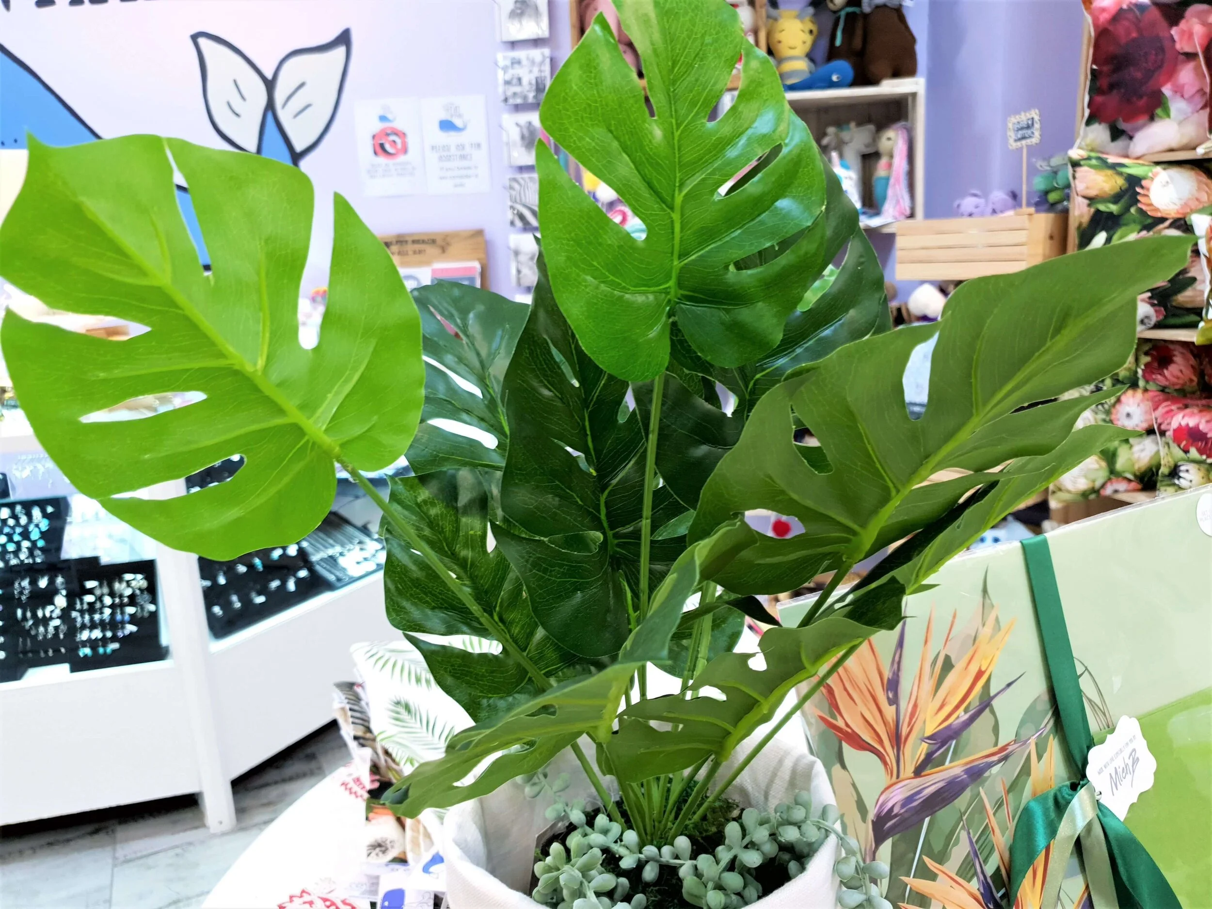Faux Plant Collection
