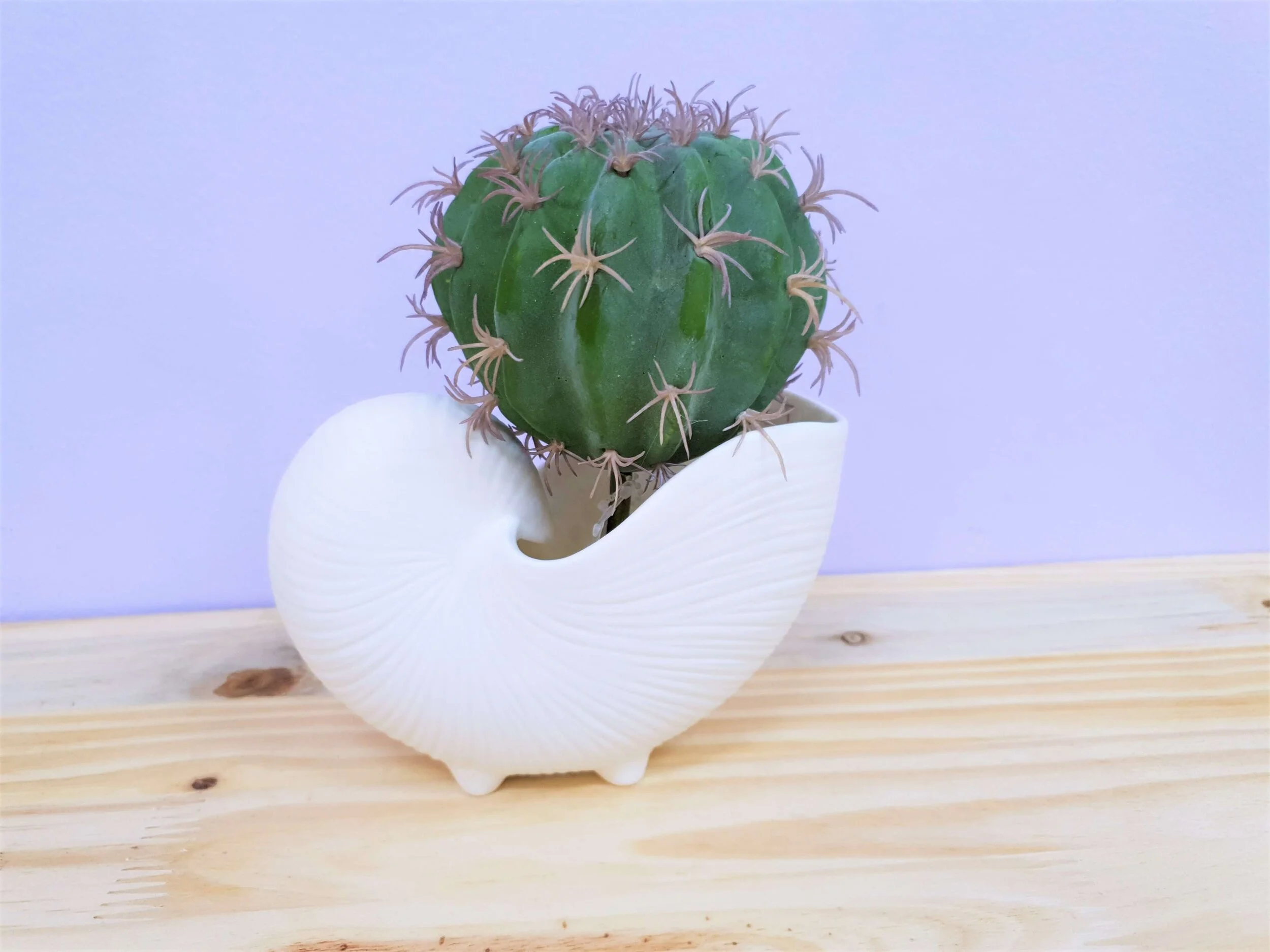 Porcelain Nautilus Votive