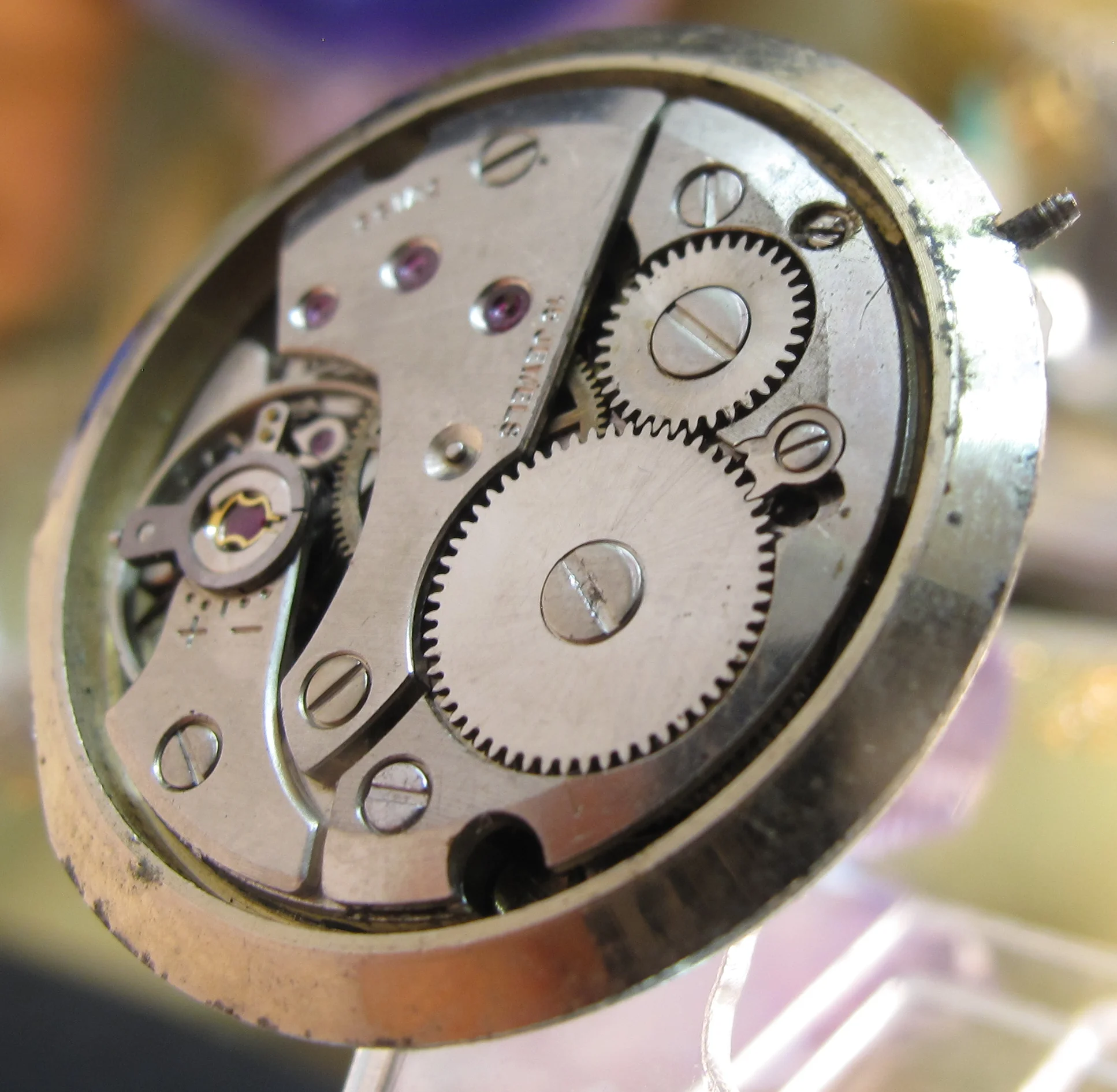 rolex pepsi-9.jpg