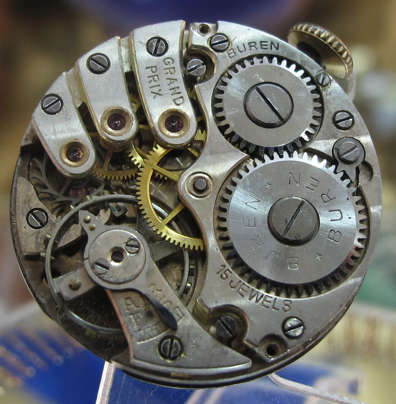 rolex pepsi-18.jpg