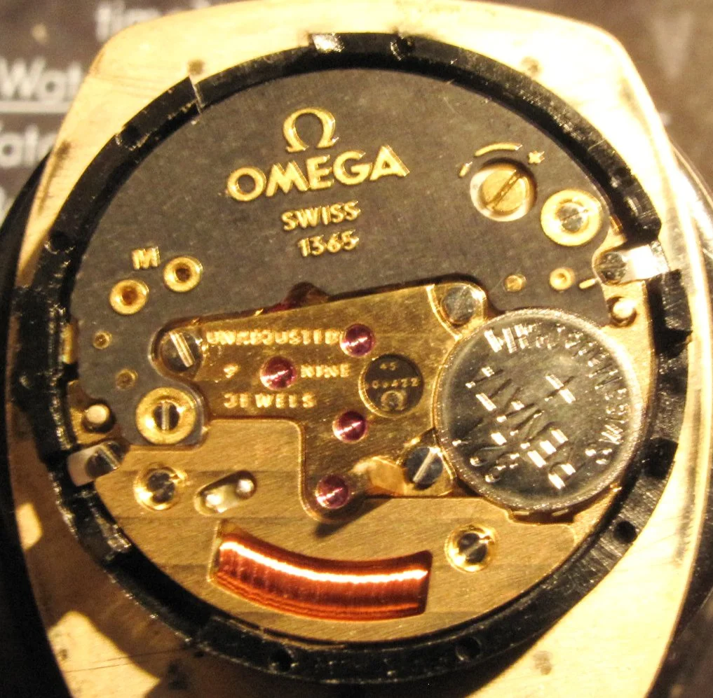 timex expedition scout