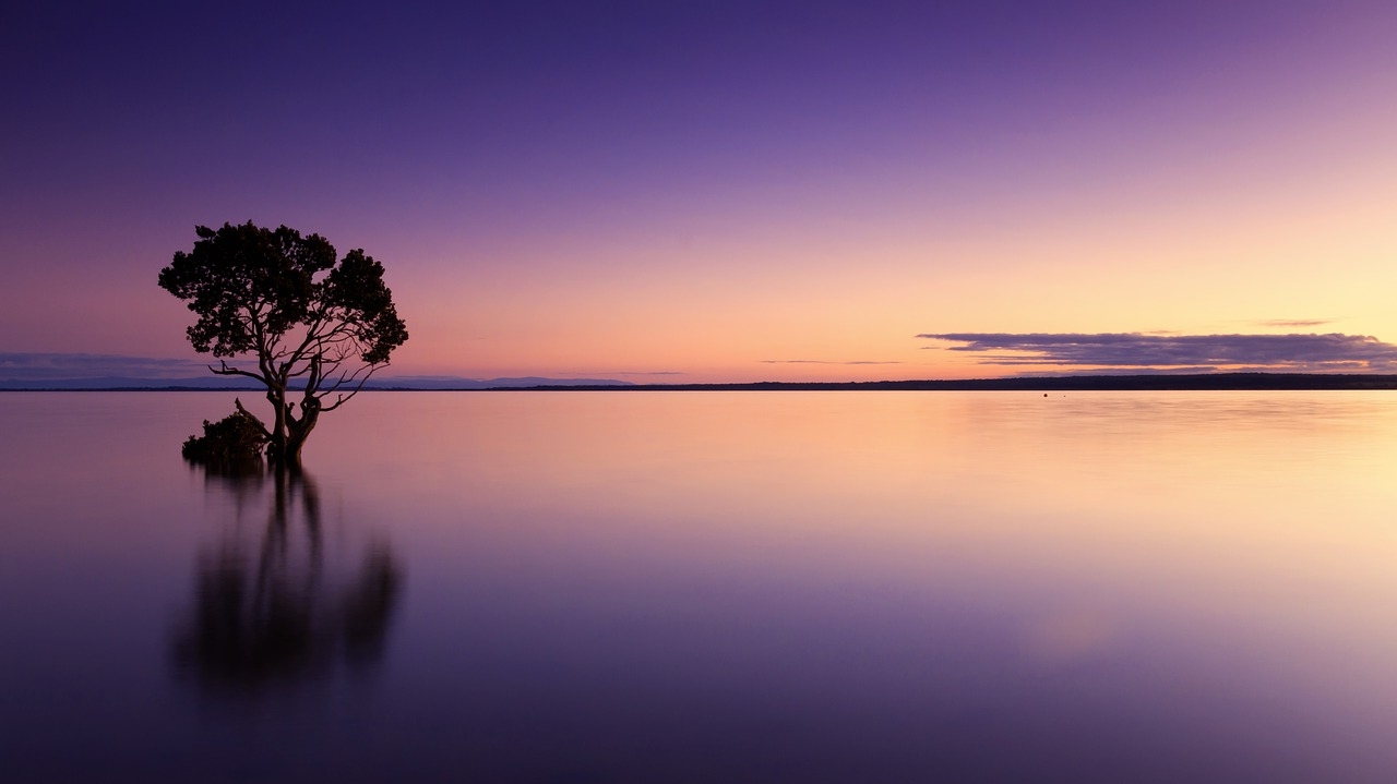 sunset-1373171_1280.jpg