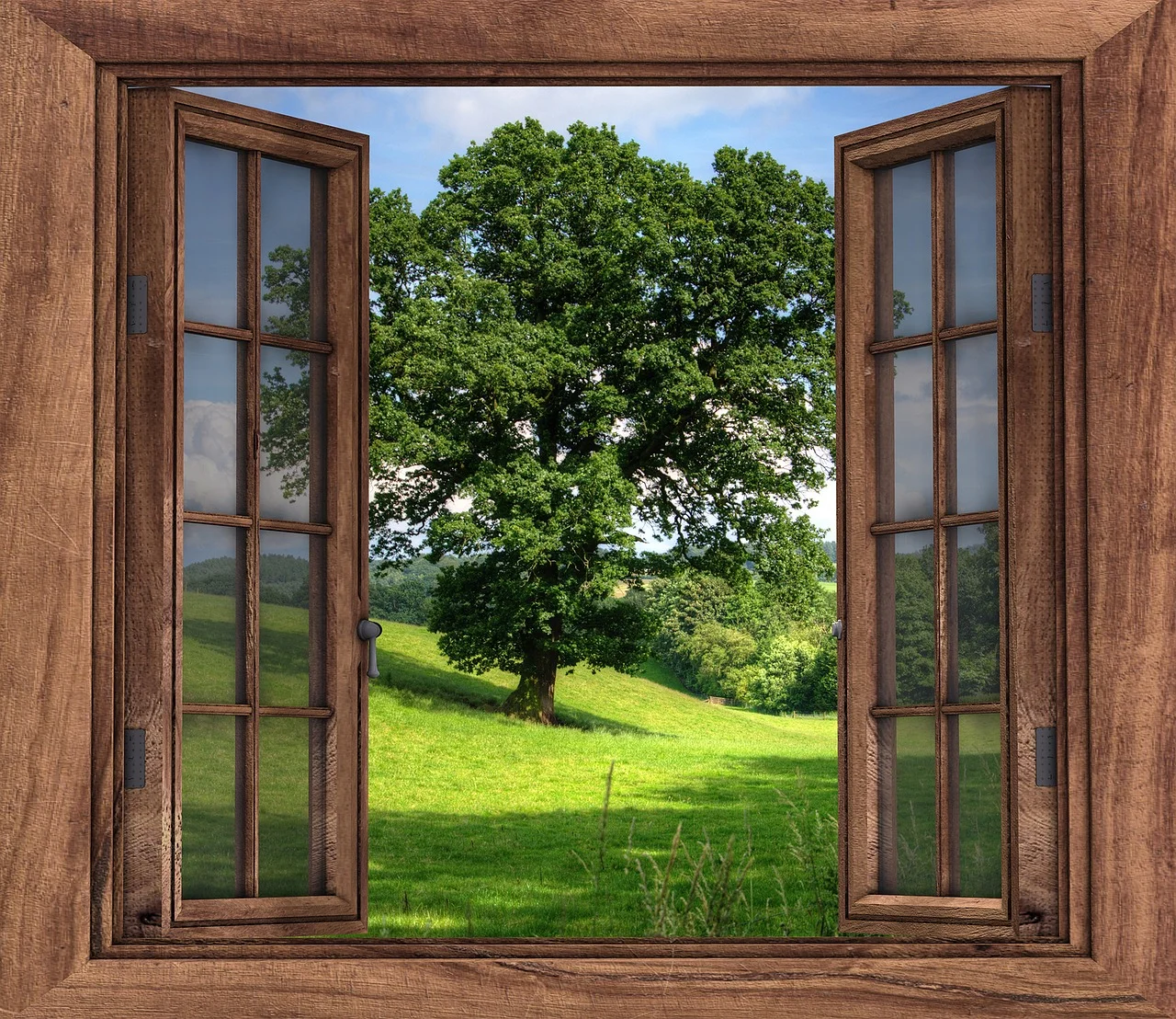 window-2994497_1280.jpg