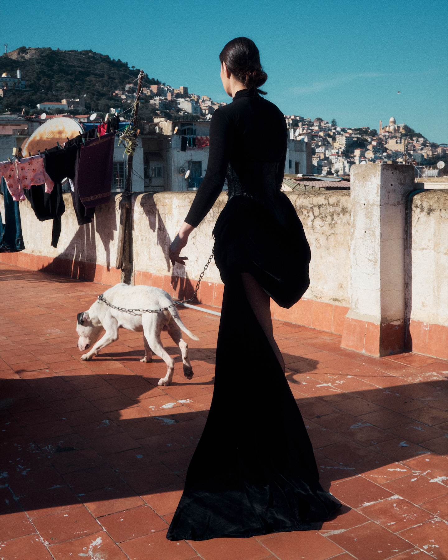 Screenshot 2026-01-29 at 11.06.12.png