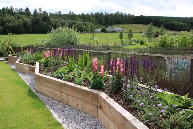 Clients newly planted up border