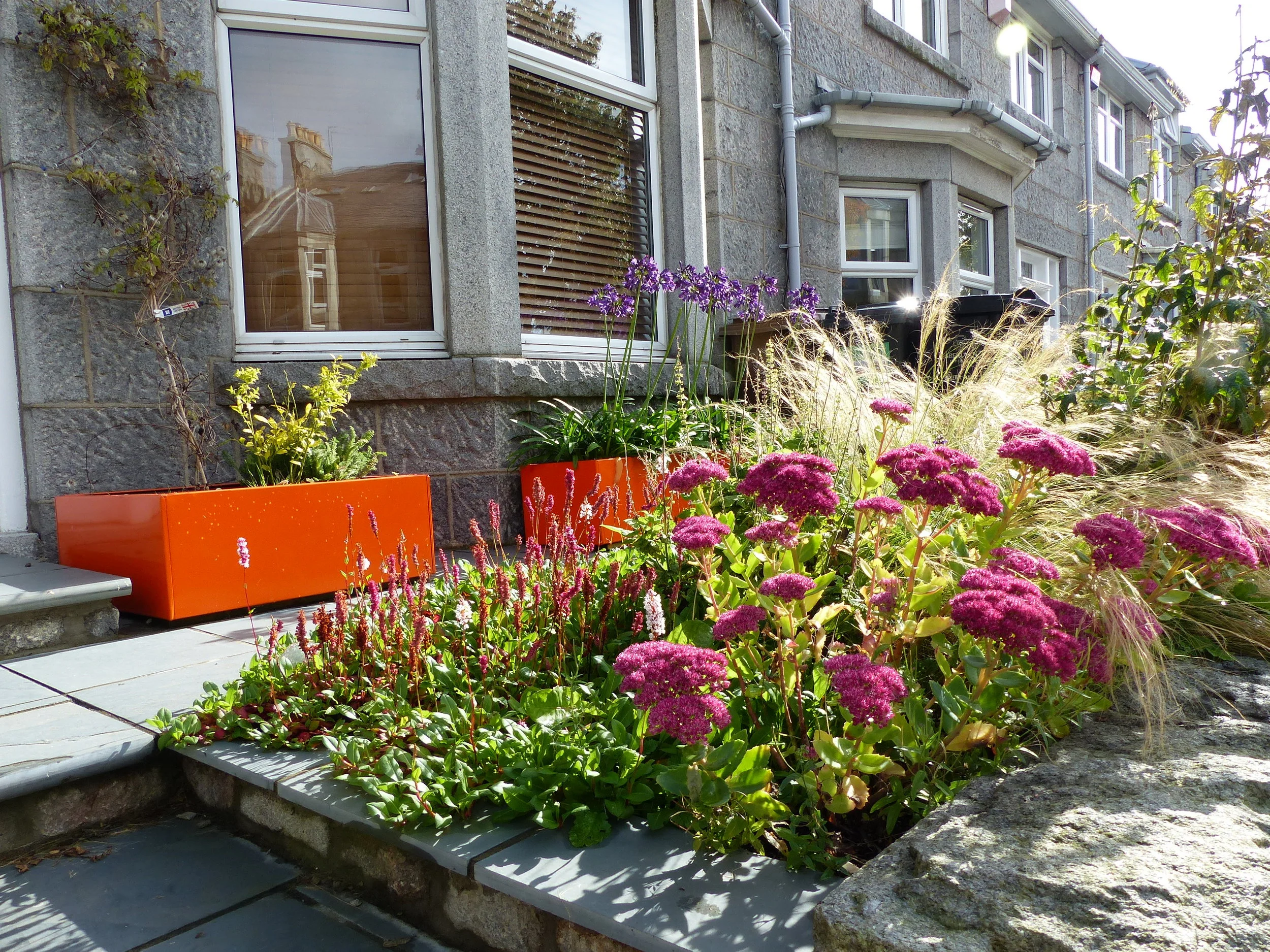 Modern, Small Front Garden