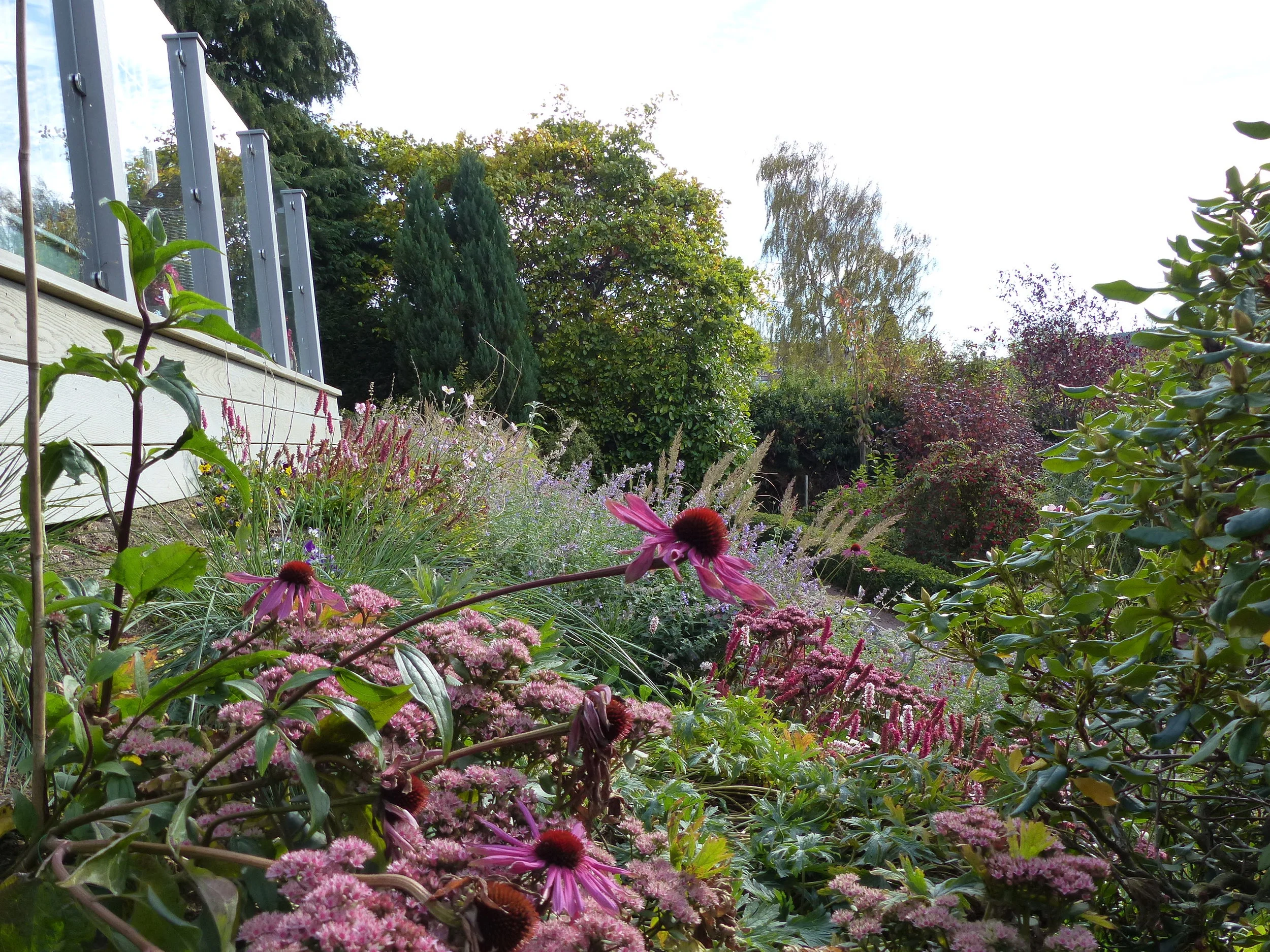 Planting on a Slope or Steep Bank
