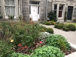 Modern Front Garden Design