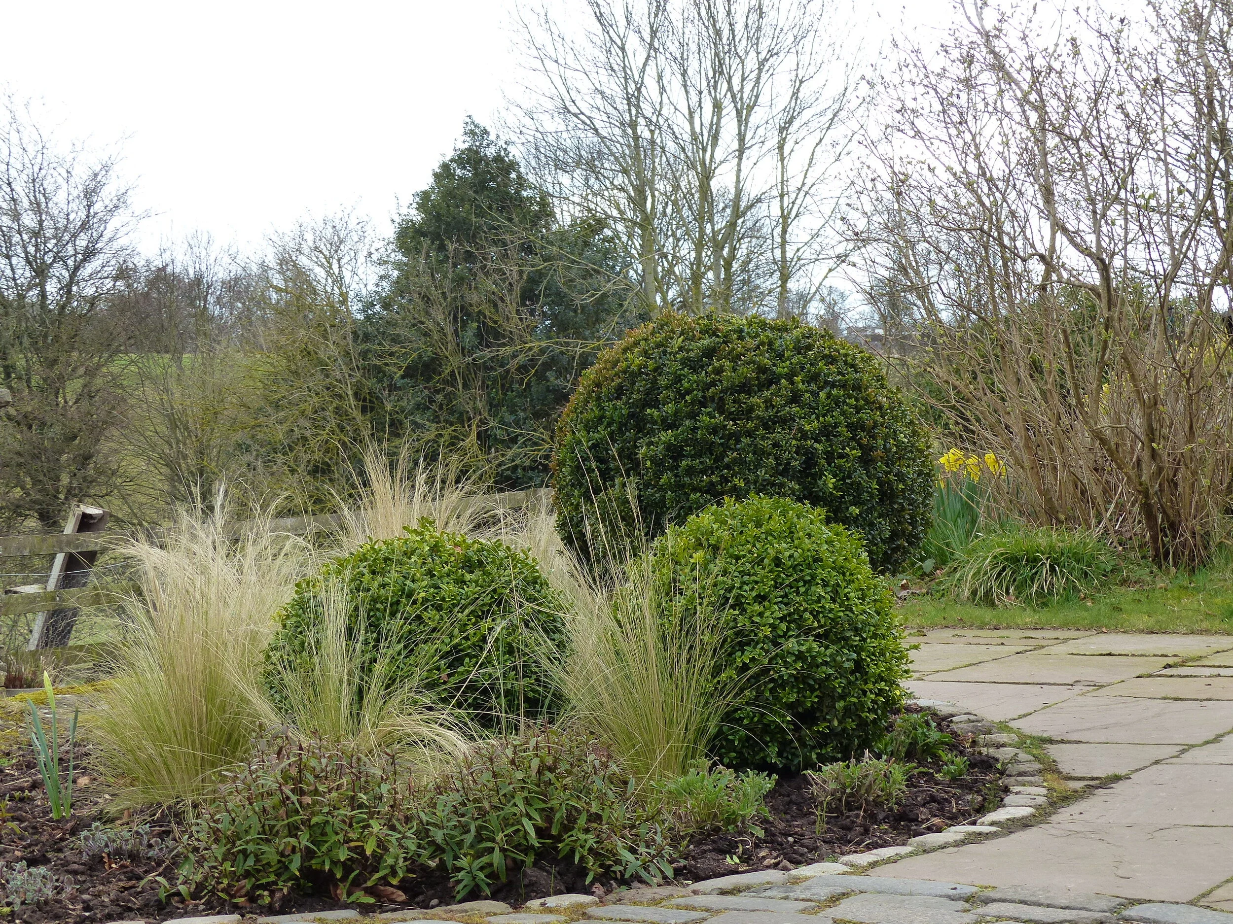 Garden of one BBC Scotland Home of Year finalists