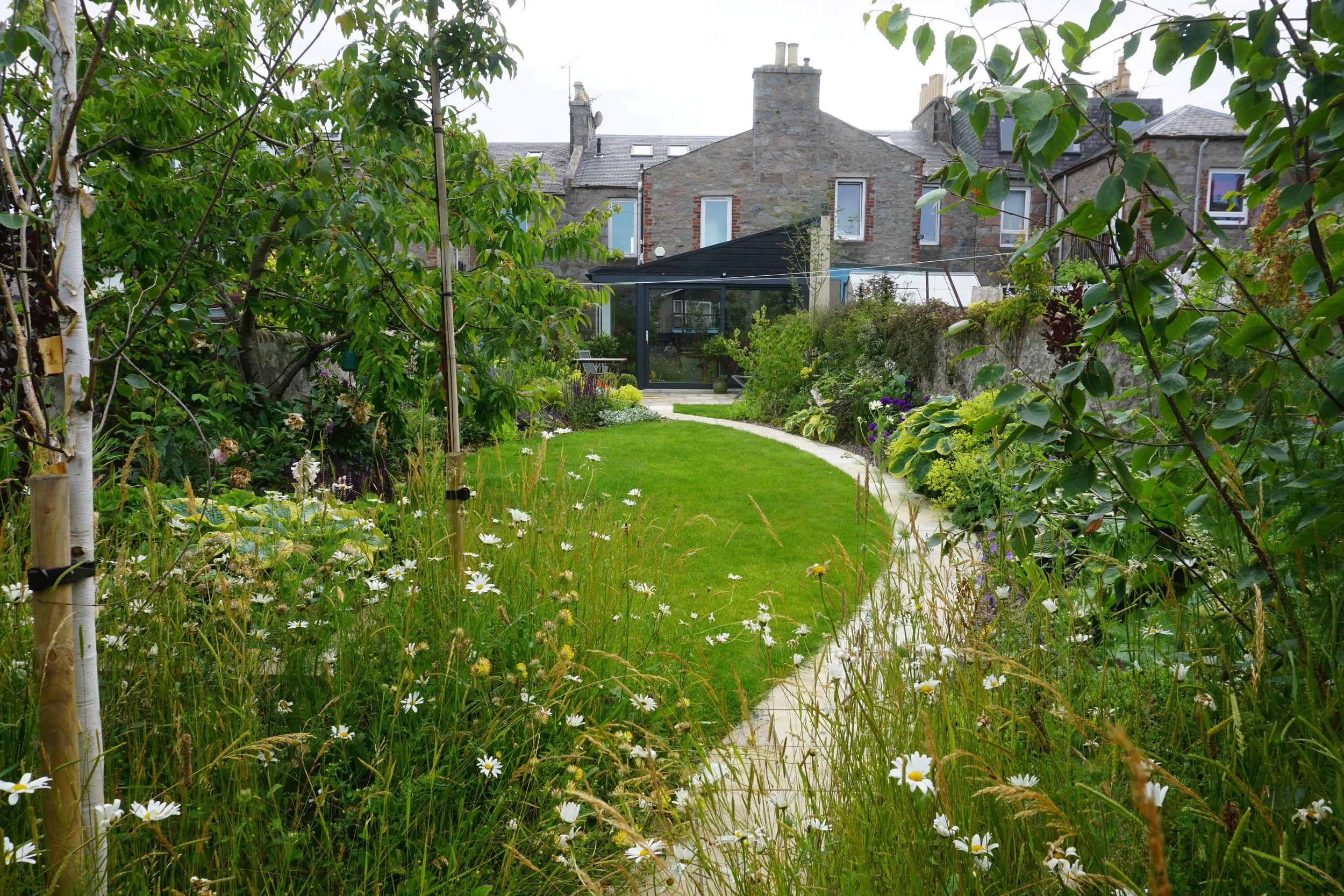 Adding a Wildflower Meadow 