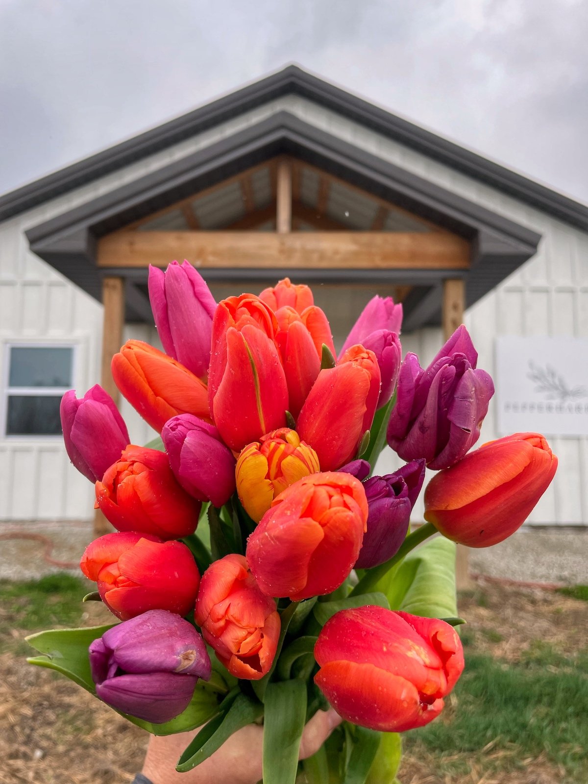 PepperHarrow Flower Farm Harvest