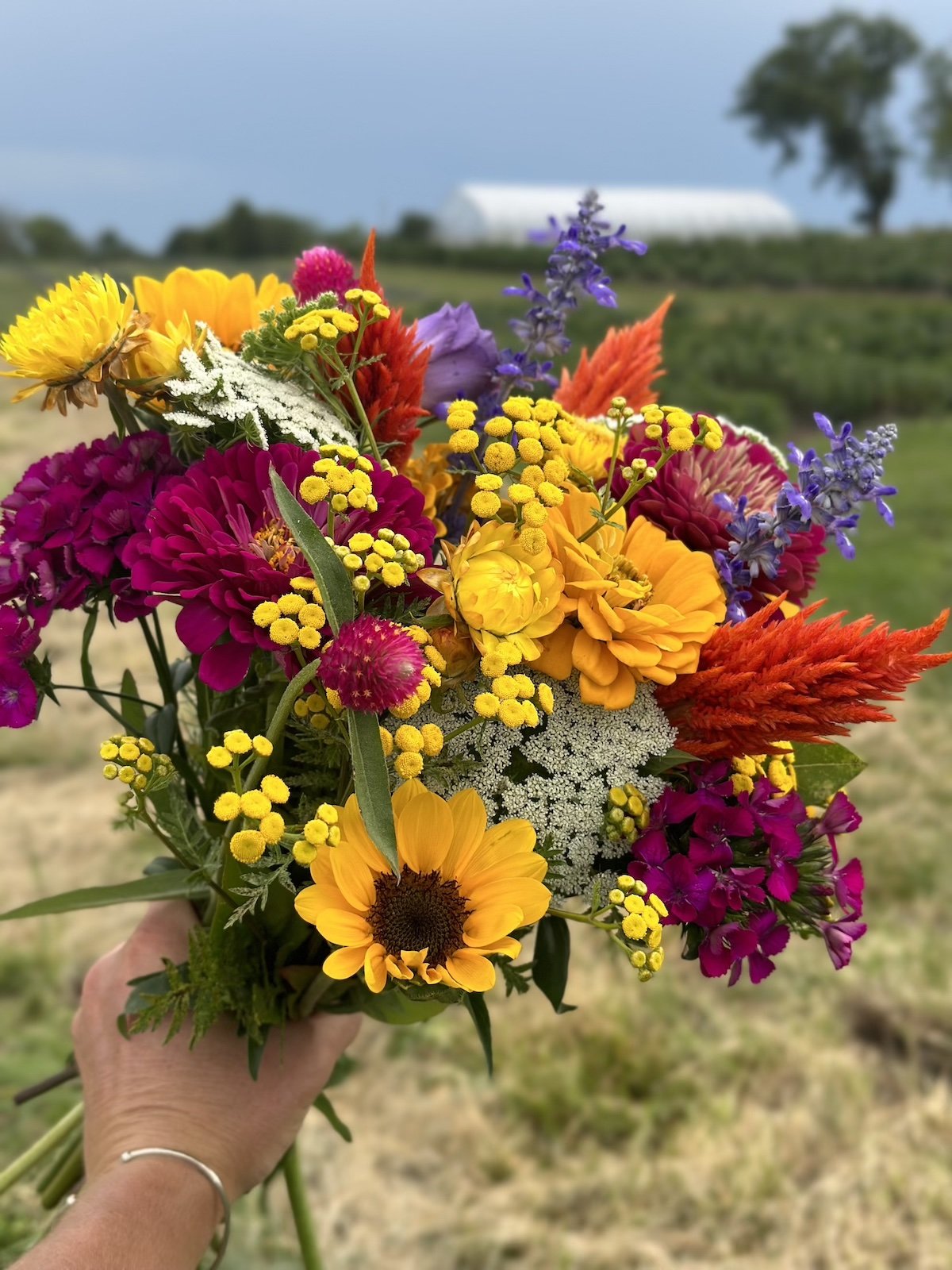 PepperHarrow Flower Farm Summer Bouquet Combination Inspiration