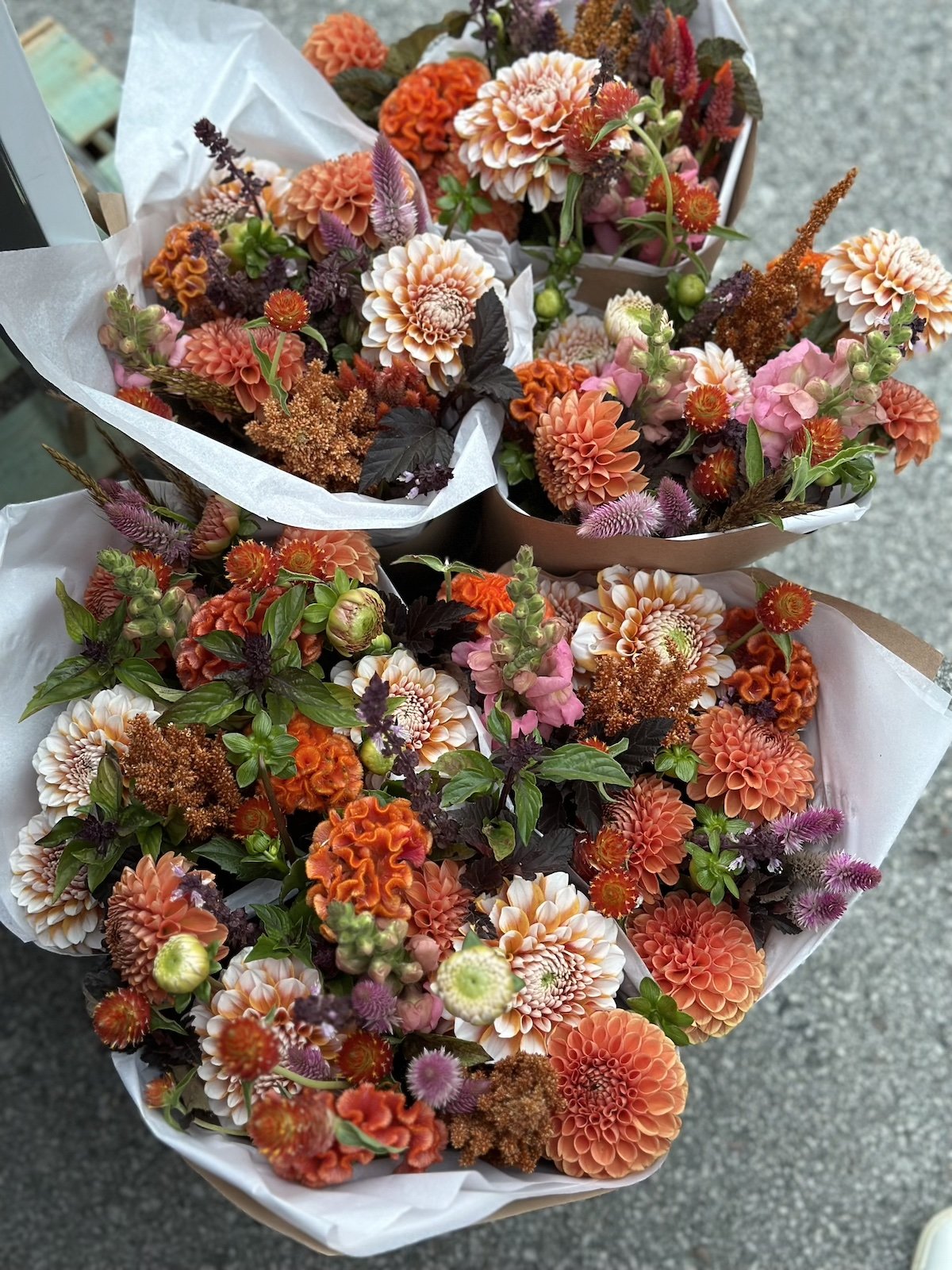 PepperHarrow Flower Farm Pumpkin Spice Bouquet