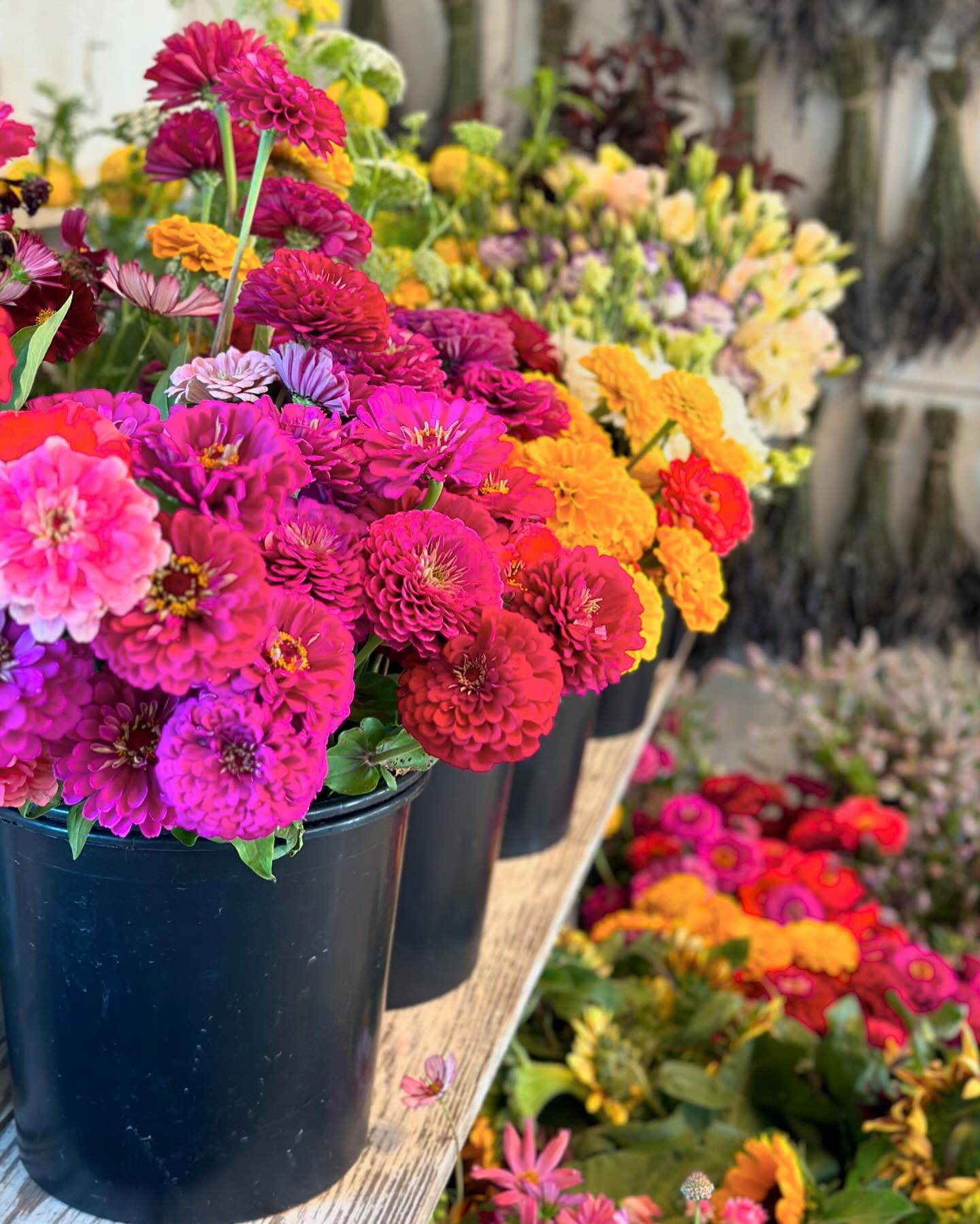 Are you looking for a little something special for Mother&rsquo;s Day? Grab a spot for mom to our Bloom Bar experience 💐We provide all of the flowers, vase, and a pair of snips to borrow for mom to create a beautiful bouquet of flowers.

New this ye