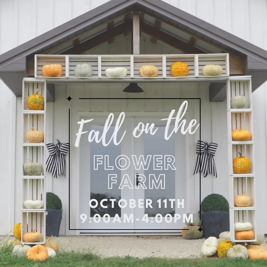 Fall on the Flower Farm is this Saturday! It's the farm's last flower hurrah of the season and we'd love to have y'all join us 🌸💗 Details for the event in profile 🎃

#pepperharrow #iowaflowers #flowerfarm #midwestliving #farmlife #iowaevents
