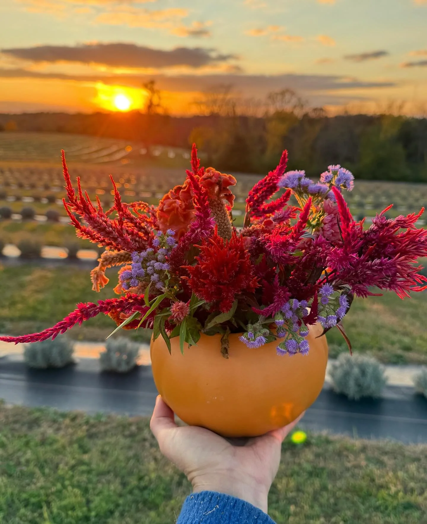 These autumn days. Ahhhhh! Happy almost Halloween, y'all. We've been digging and dividing dahlias, collecting seed, and if you can believe it, cutting flowers to deliver to local florists.

These are the days we savor and we're  getting a little chan