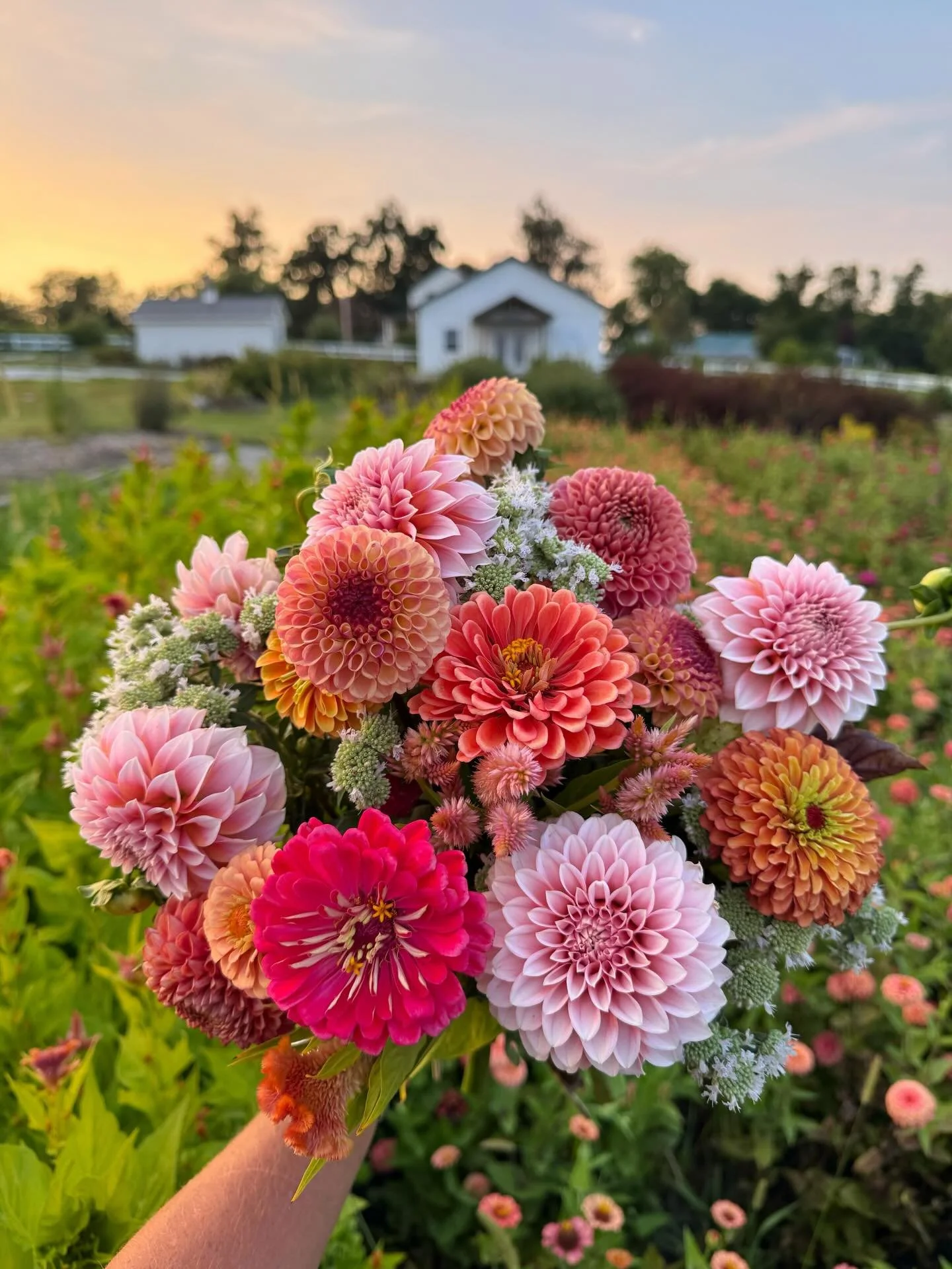 Thanksgiving always reminds us to pause, appreciate our loved ones, to reflect on the beauty of this life we get to live on the farm, and not take a single blessing for granted.

To everyone who has supported our little dream, whether you&rsquo;ve vi
