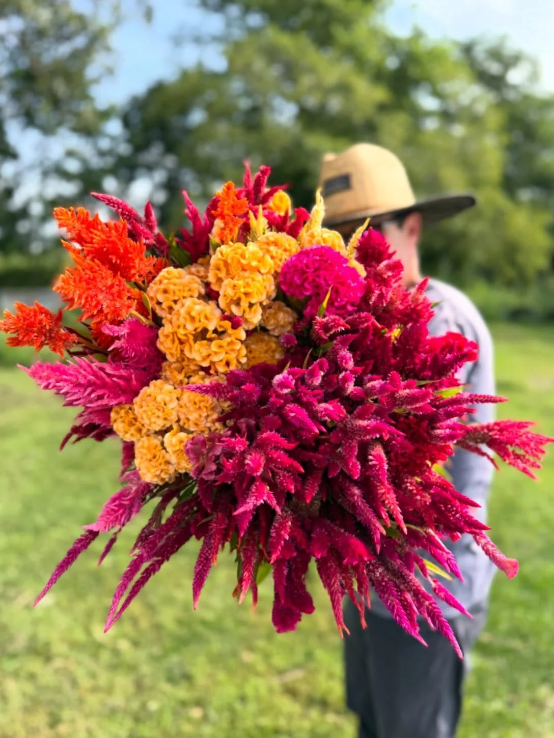 Our Garden Lovers Mix Celosia is a bright, fun blend of all the celosia varieties we grow at the farm. Expect a stunning range of hot pinks, peachy tones, glowing golds, rich reds, and a few surprises mixed in for good measure.

These beauties thrive