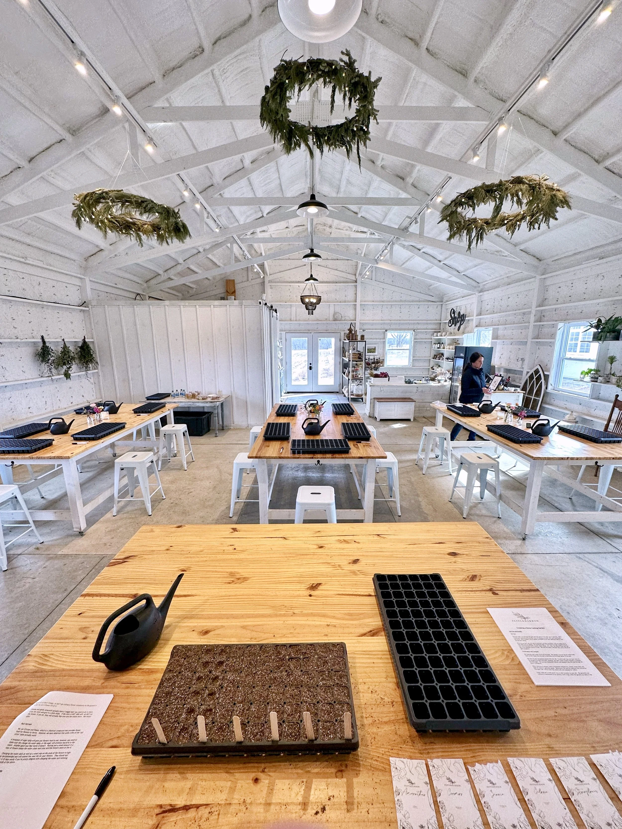 Seed Starting: Creating a Home Cutting Garden