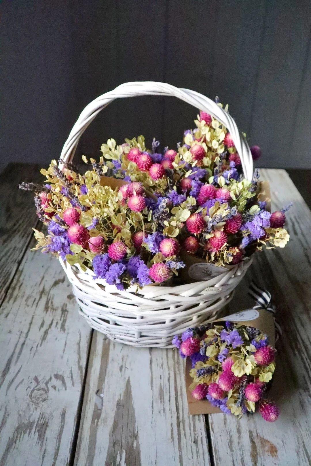 Des Moines Botanical Center Pop-up