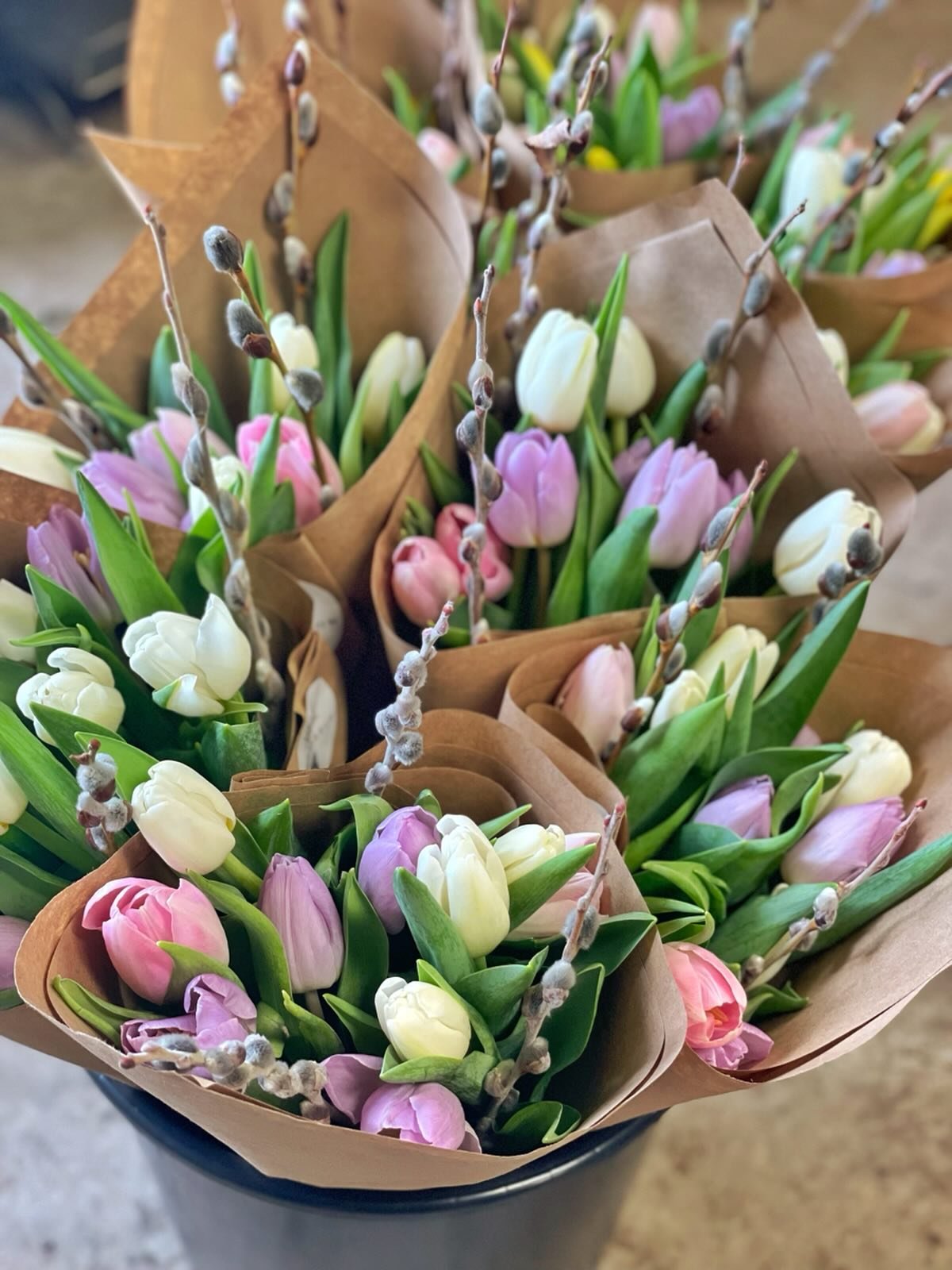 Doesn't the gray of the willow blossoms just make these beauties pop?! This is the time to grab classic spring blooms. Tulips, a few early daffodils, grape hyacinth and a few more! It seems like once they arrive, they disappear quickly. The earliest 