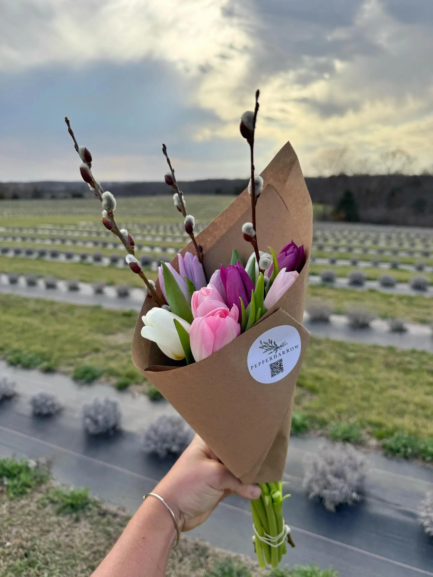 Who's ready for spring blooms? Catch us tomorrow at the farm or on Sunday @dsmmercantile for our Spring Bloom pop-up.🌷🌷🌷

#pepperharrow #iowaflowers #flower #midwestliving