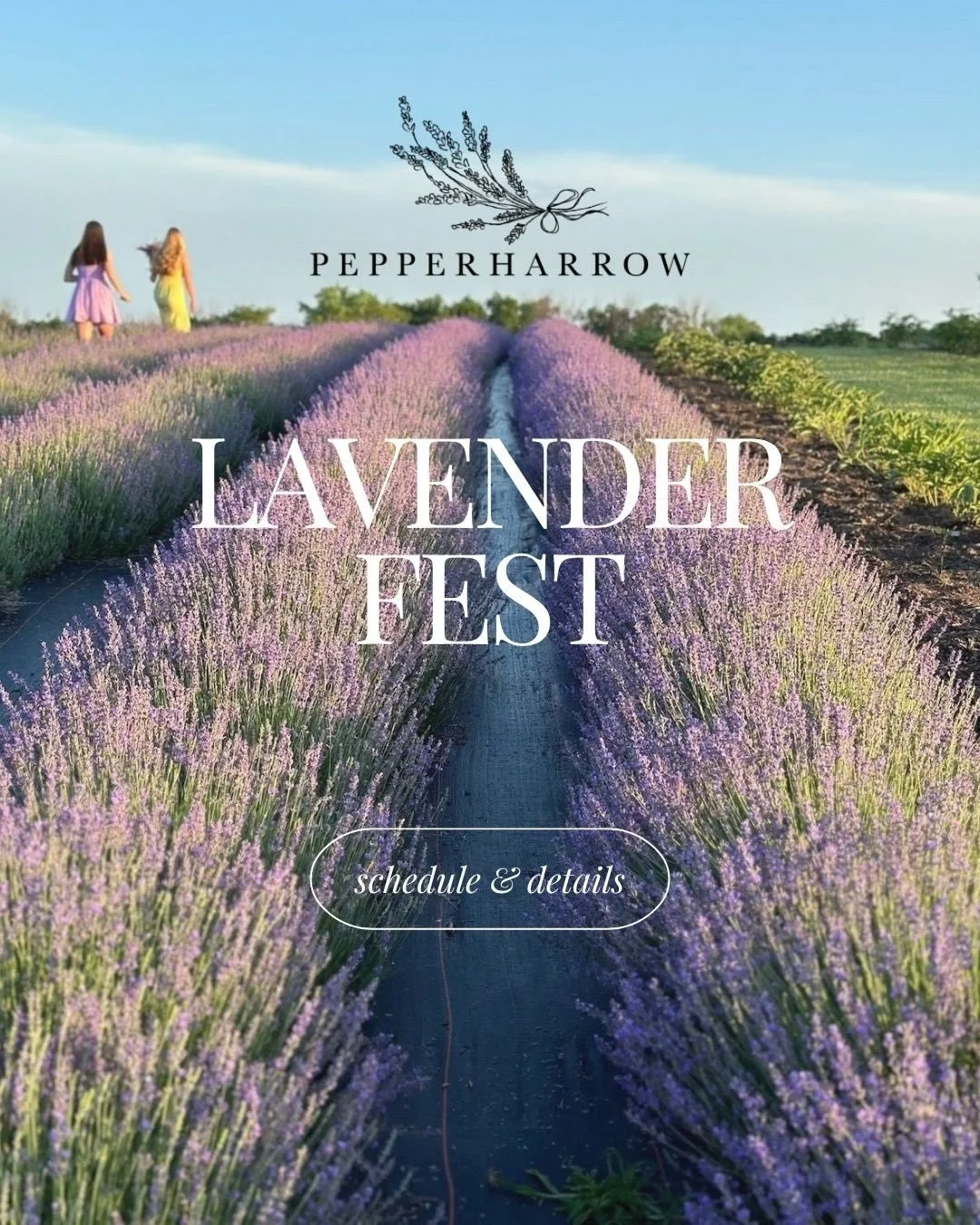 Imagine the warm June sun on your skin, the calming scent of lavender drifting through the air, and the joy of slowing down for a day that feels like a deep breath.

Join us June 19 + 20 for Lavender Fest to wander the farm, sip, explore, and cut you