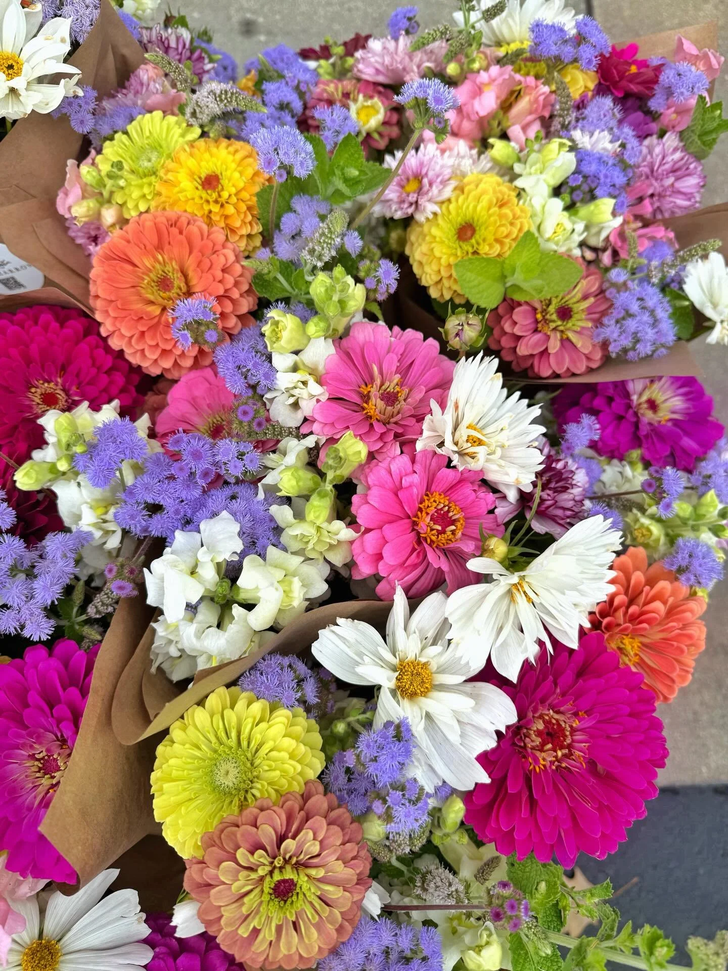 Don't these bouquets look like candy?! 🍬🍭Grab seeds from our website to start a flower garden this year to enjoy beautiful blooms like this, all summer long. ✨

#pepperharrow #iowaflowers #midwestlving #bouquets #flowers