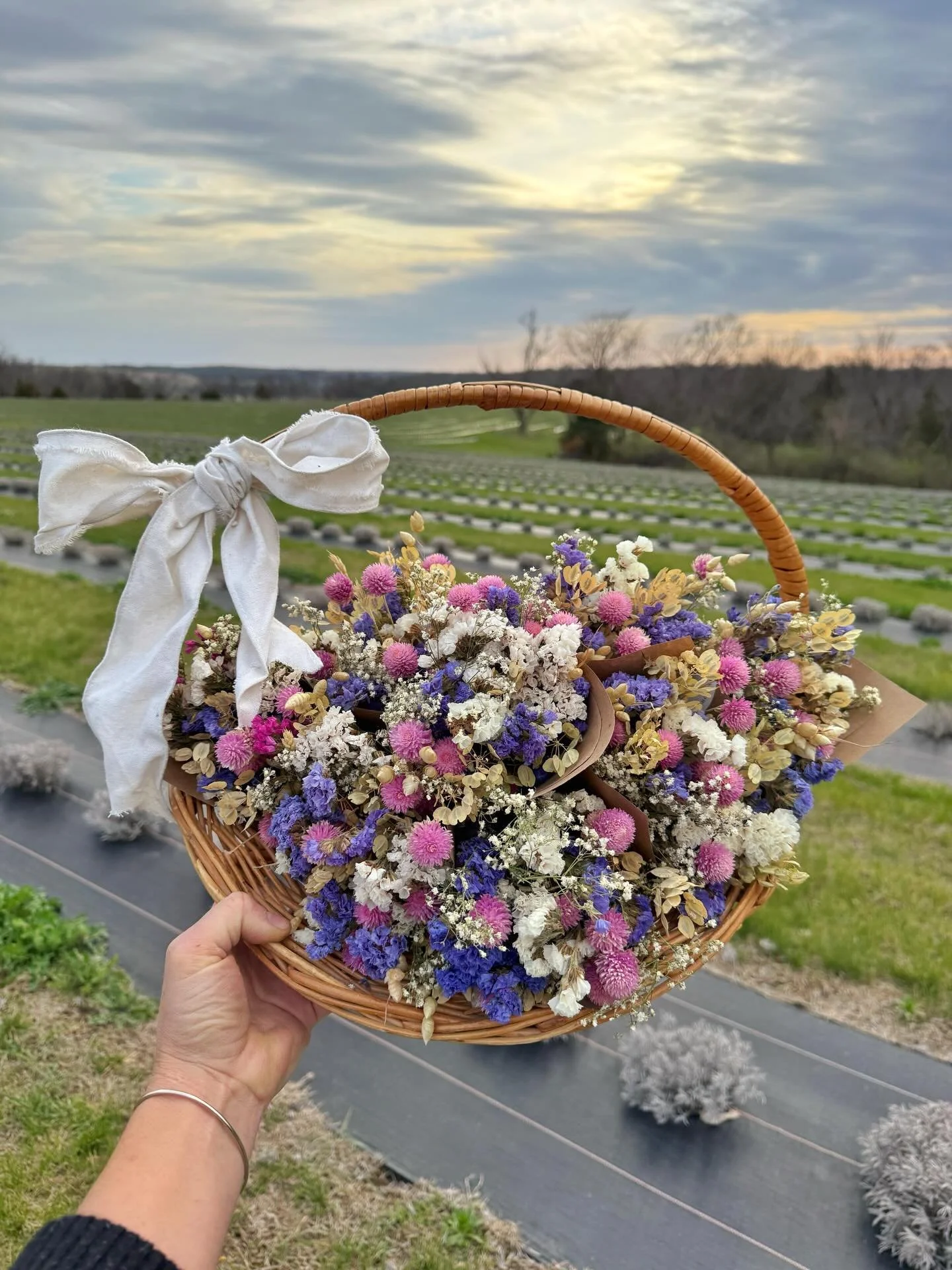 Are y'all into dried flowers or are they not your vibe? Personally, I'm a little obsessed with these adorable mini dried bouquets.✨

Our team member Erin, came to the farm today and made all of these beauties for y'all. The best part is that they kee