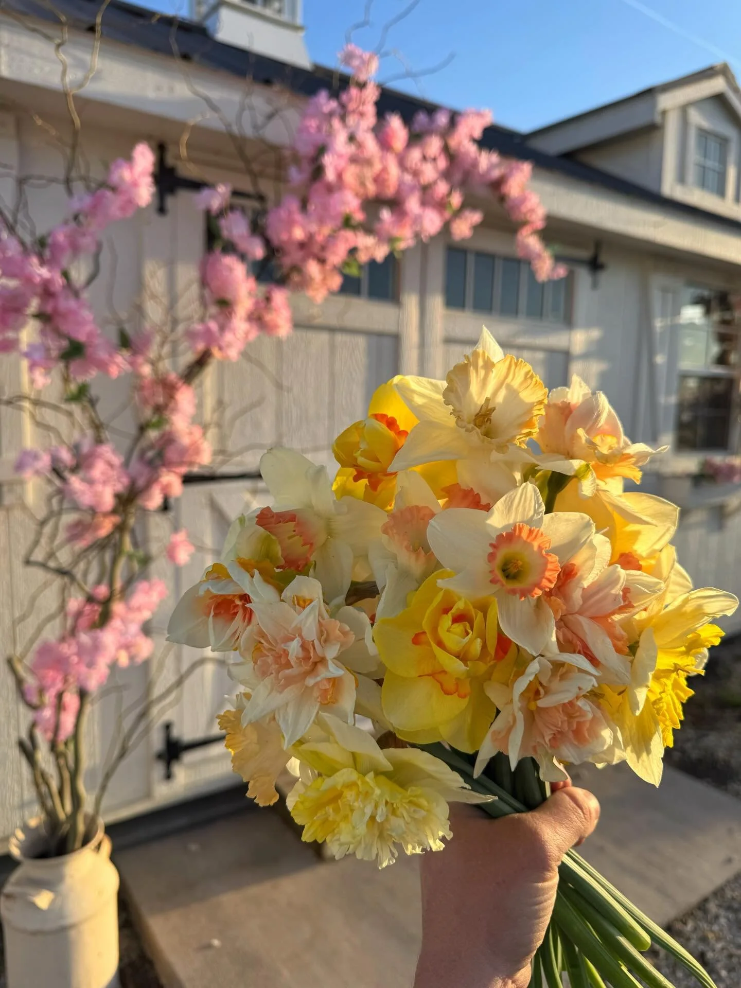 Sunshine, fresh blooms, and a whole lot of joy! Tomorrow is shaping up to be one of those days you just don&rsquo;t want to miss. 🌸✨

We&rsquo;ll be popping up at Paws &amp; Pints from 12&ndash;4PM with some of your favorite goodies. It&rsquo;s the 