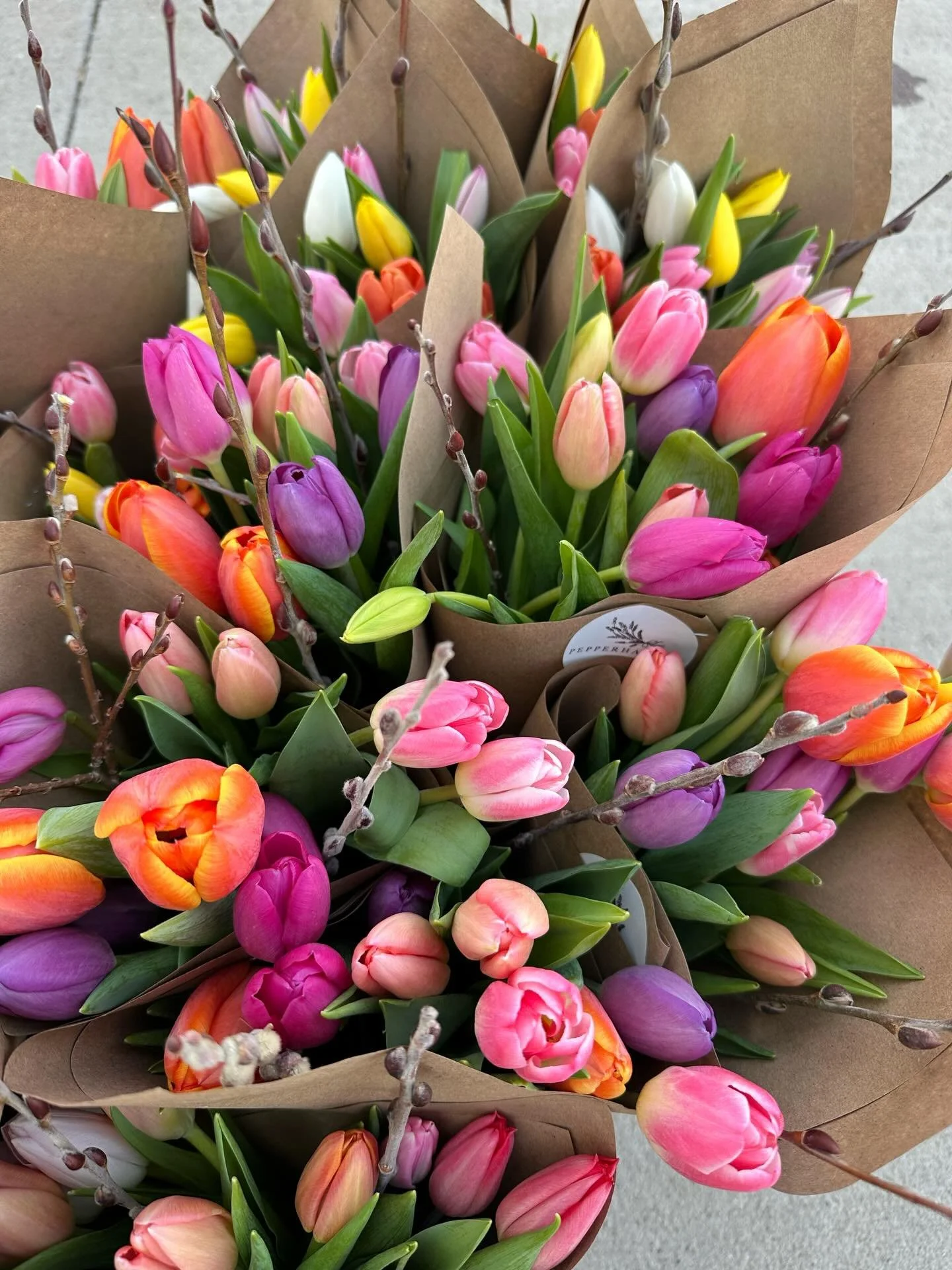 Tulip season never stays long and that&rsquo;s part of what makes it feel so special 💐 Our tulip + willow bouquets are now live for pre-order! Grab yours for Saturday pickup at the farm (link in profile), or find a limited number available (and daff