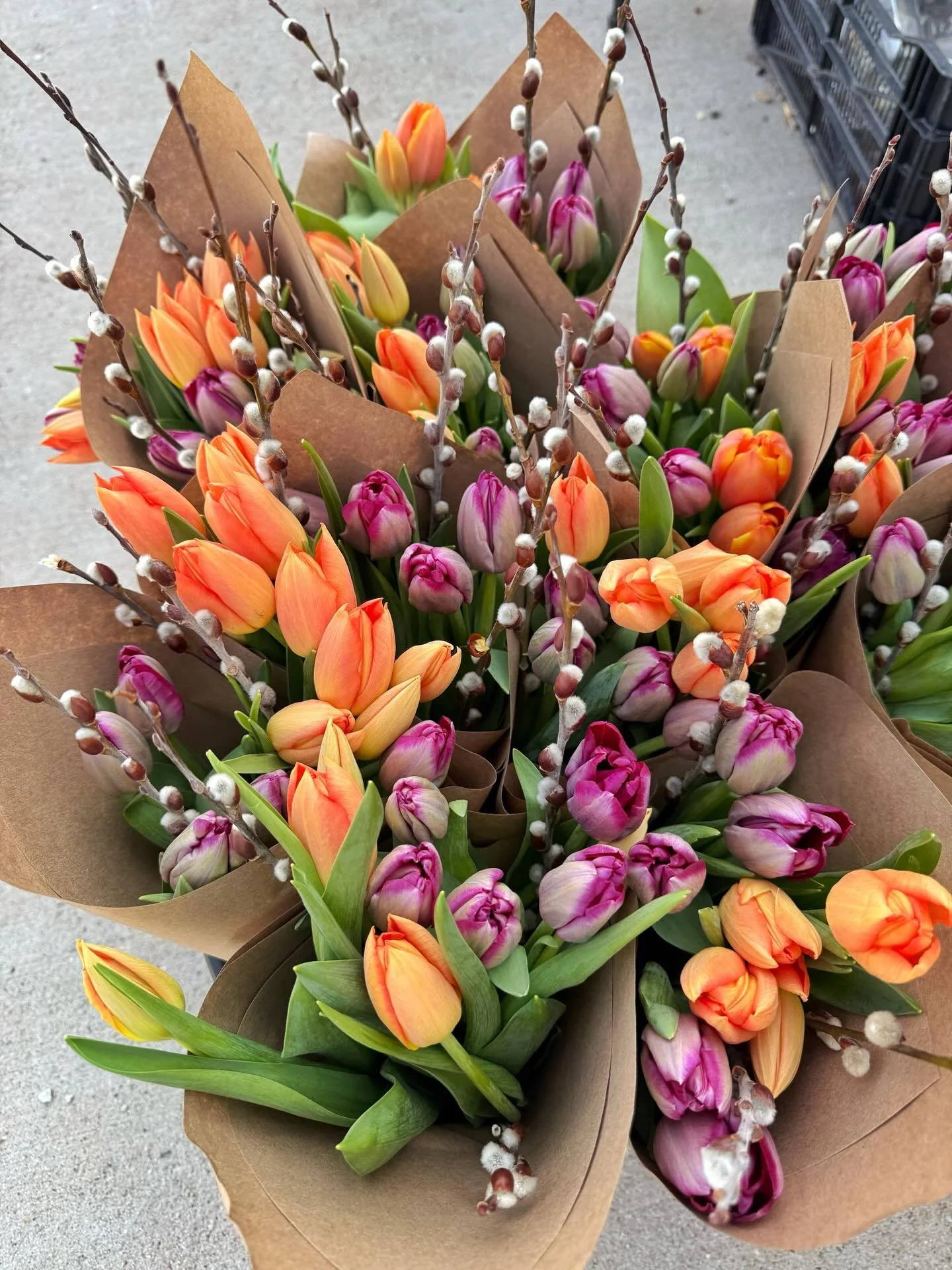 Tomorrow's the day! The farm is open tomorrow from 9AM-2PM for our dahlia tuber and plant pop-up.

A couple of housekeeping items:
🌷You don't need to have a ticket to attend. This is open to the public. 
💐Tulip + willow bouquets shown here will be 