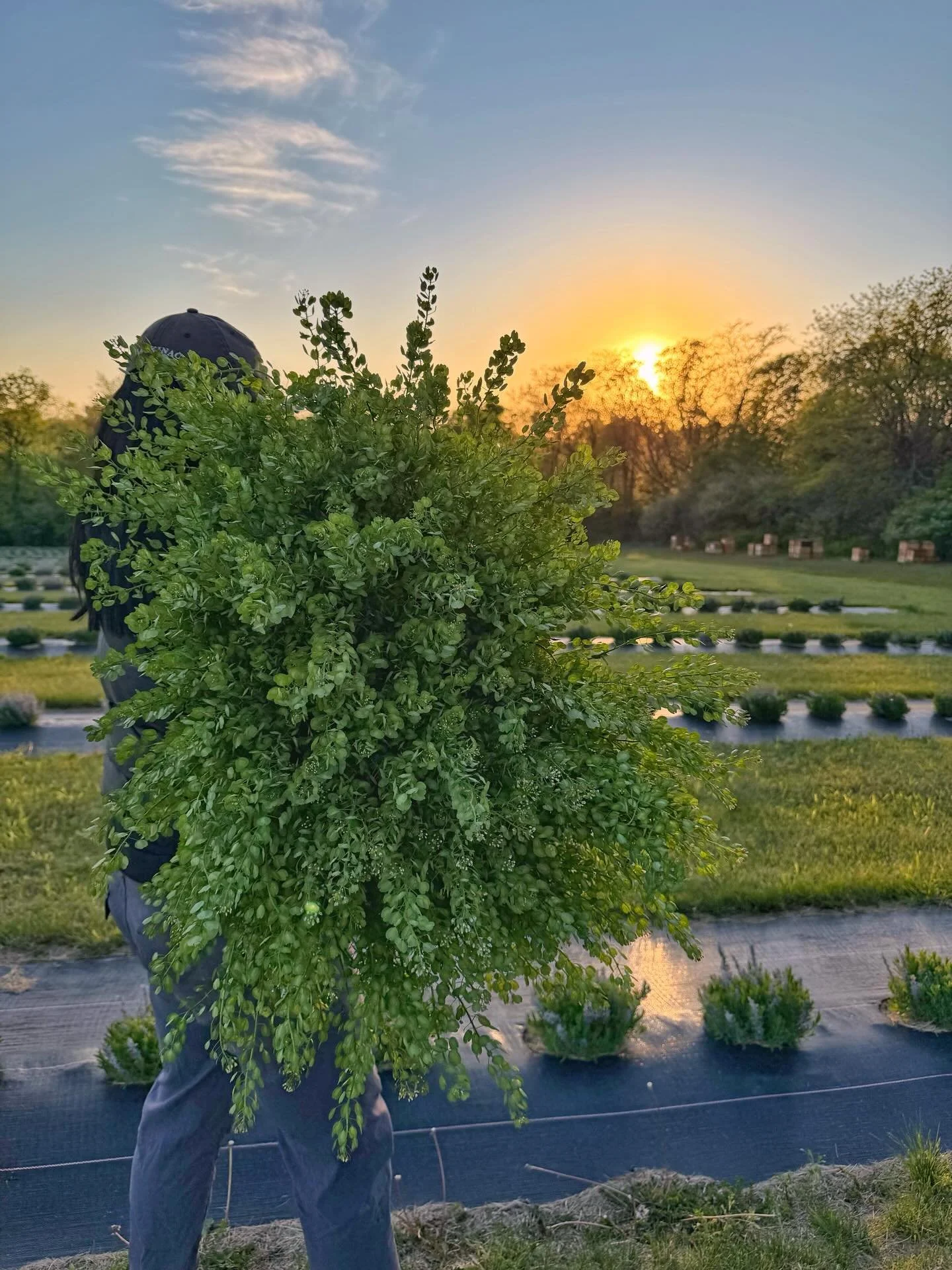 Mother&rsquo;s Day weekend is shaping up to be one of our favorite (and most epic!) weekends of the season 💐✨

Here&rsquo;s where you can find a little PepperHarrow magic this weekend:

🌿 Friday + Saturday
Find us at the Des Moines Botanical Center