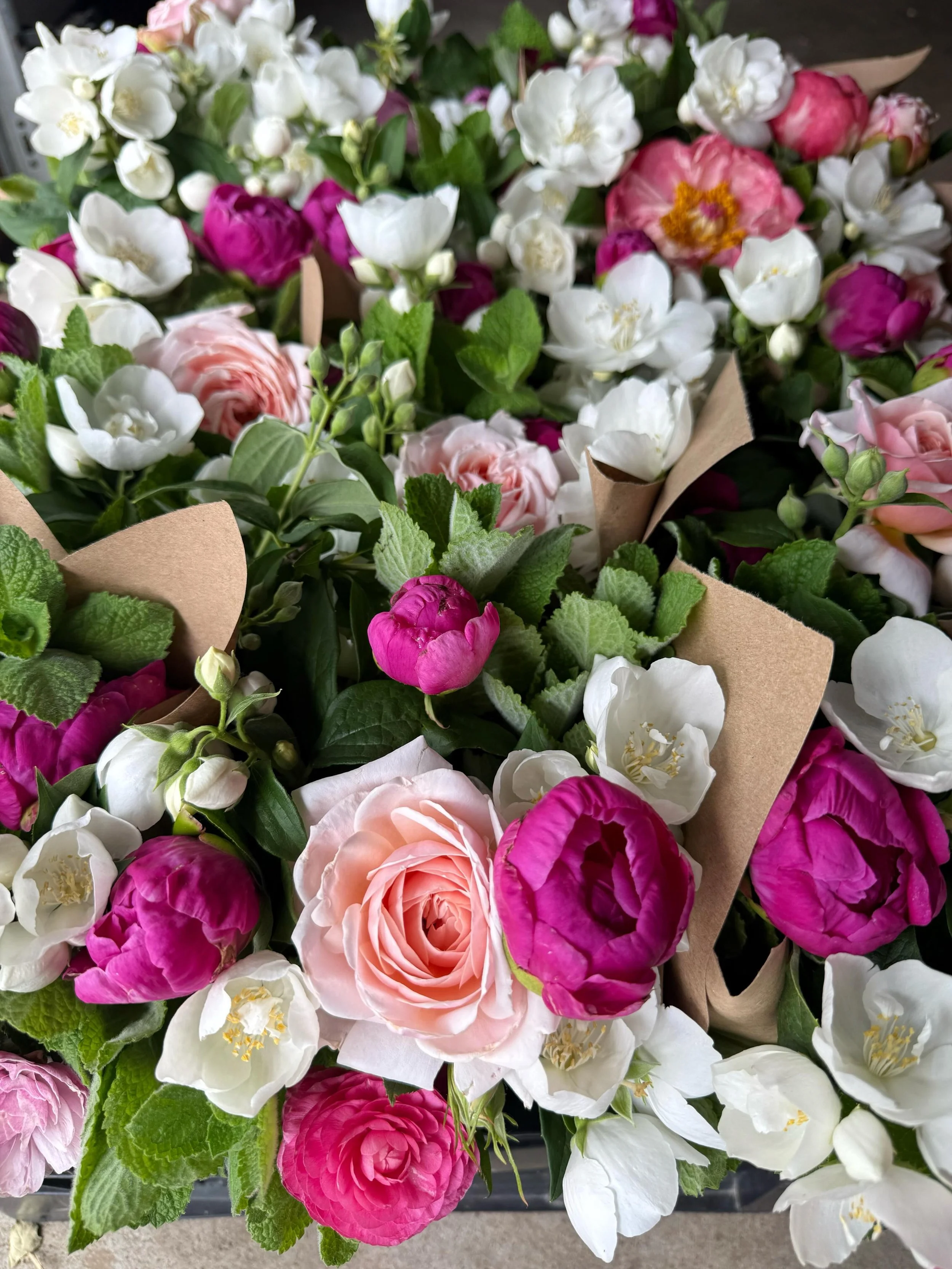 Who's a fan of fragrant flowers? We have beautiful AND fragrant flowers coming tomorrow to the farmers market .🌸💗✨

#pepperharrow #iowaflowers #flowerfarm #seasonalflowers #midwestliving