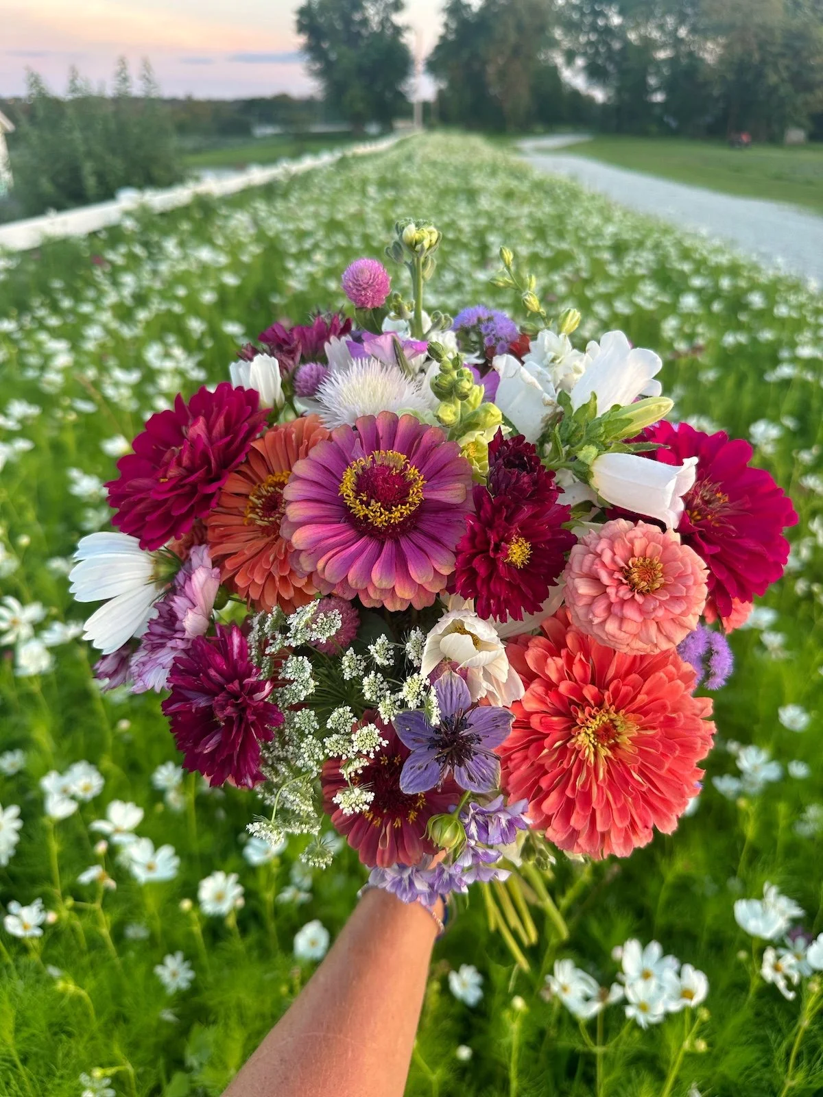 Bloom Members Only Farm Day
