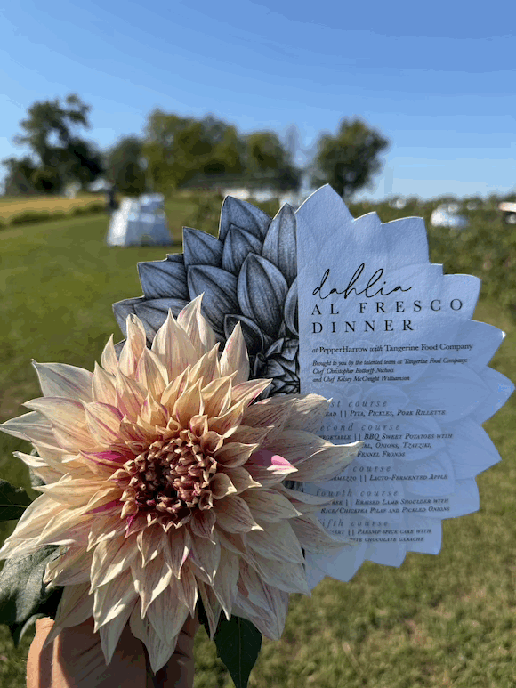 Dahlia Al Fresco Dinner