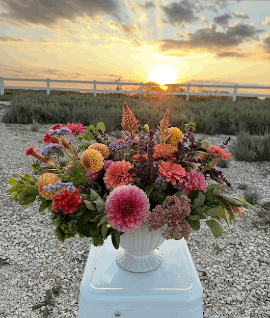 Floral Design Workshop