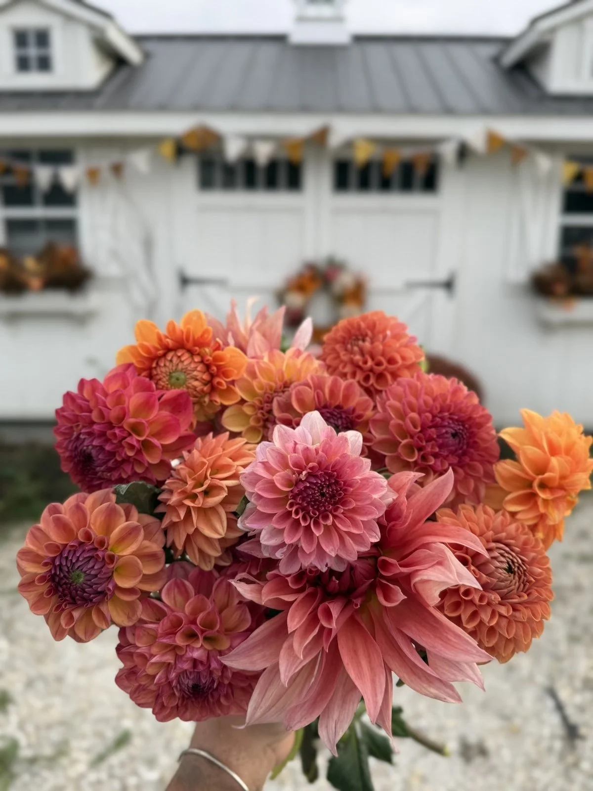 Fall on the Flower Farm