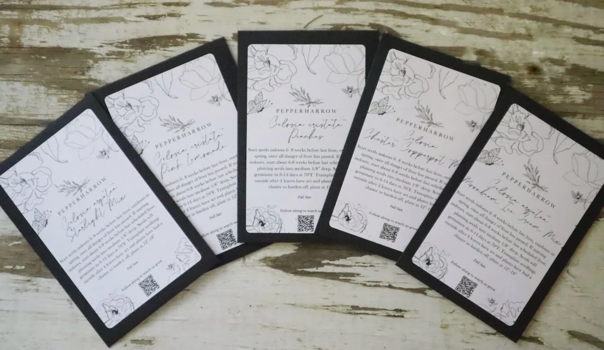 PepperHarrow Collection - Celosia Variety Sampler