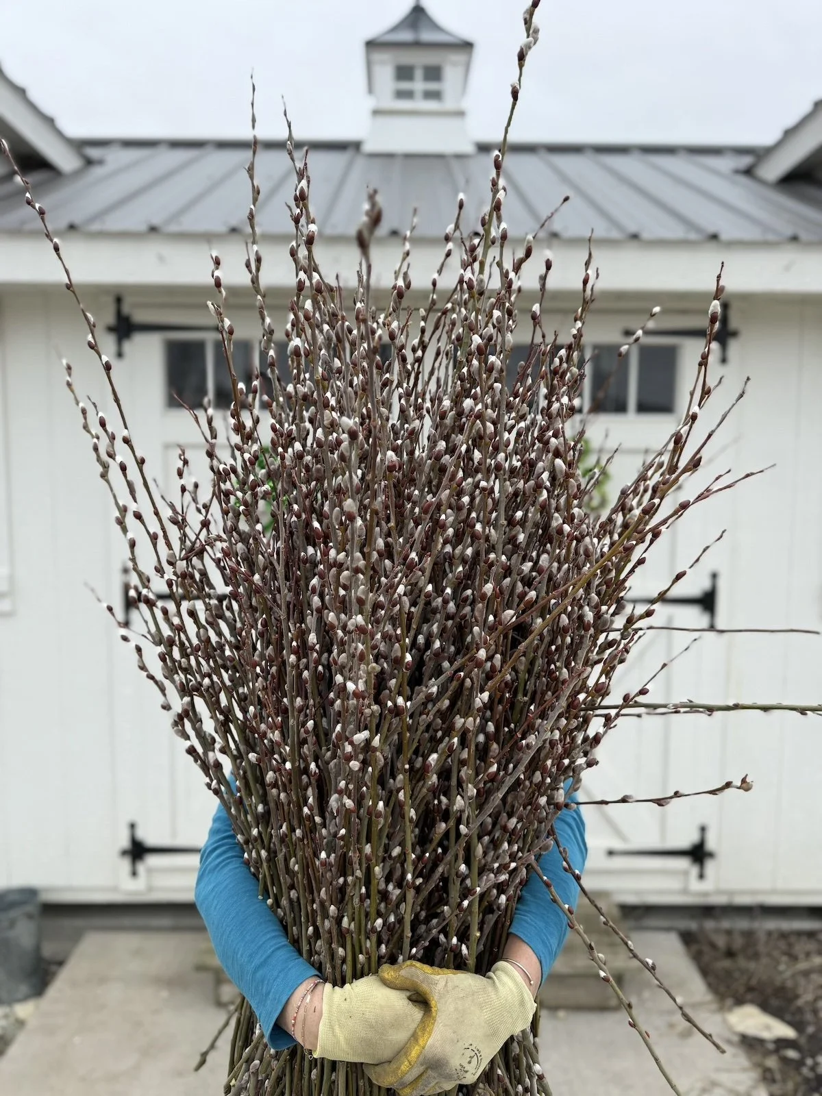 Willow bundle pepperharrow.jpg