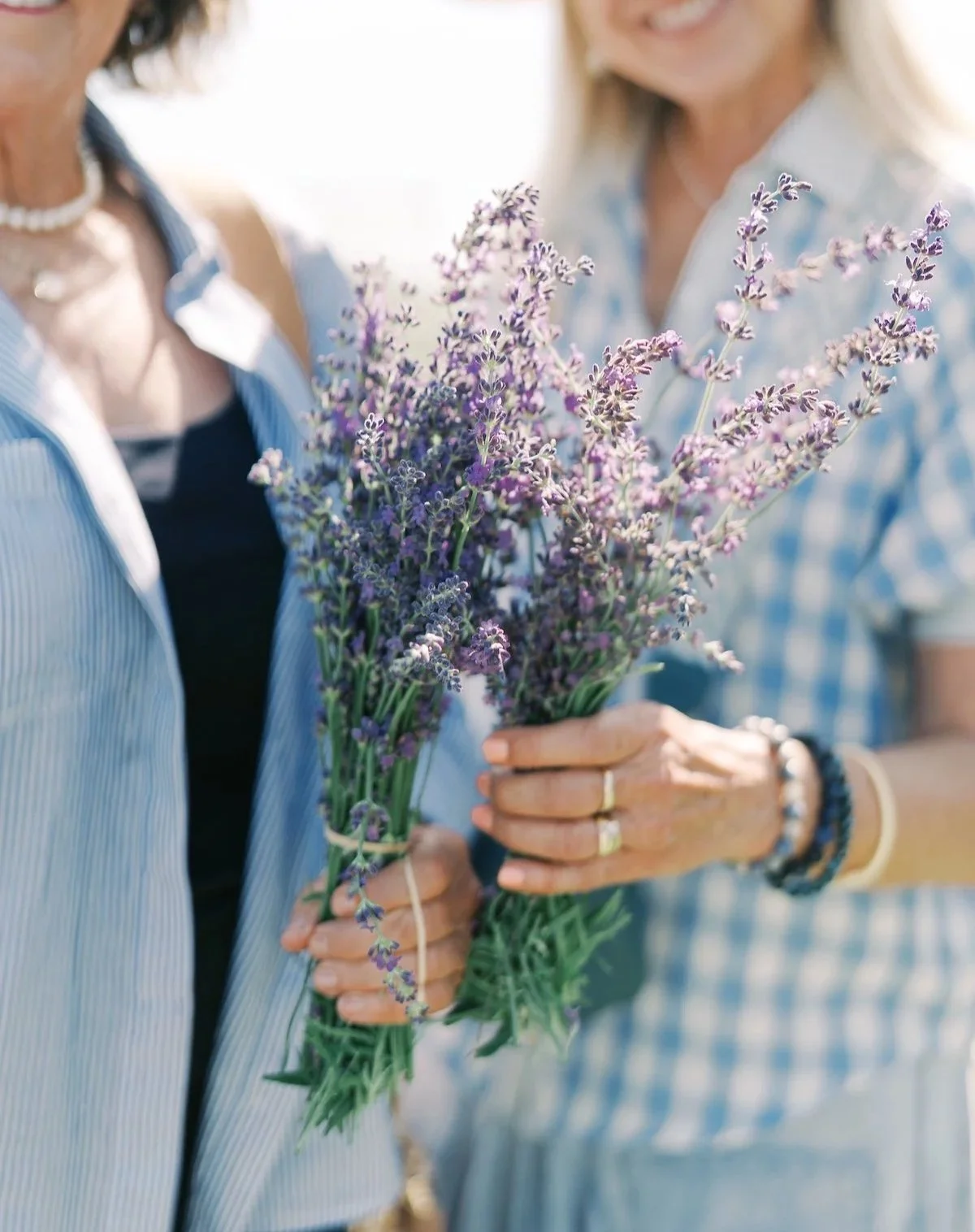 Lavender+U-Cut.jpg