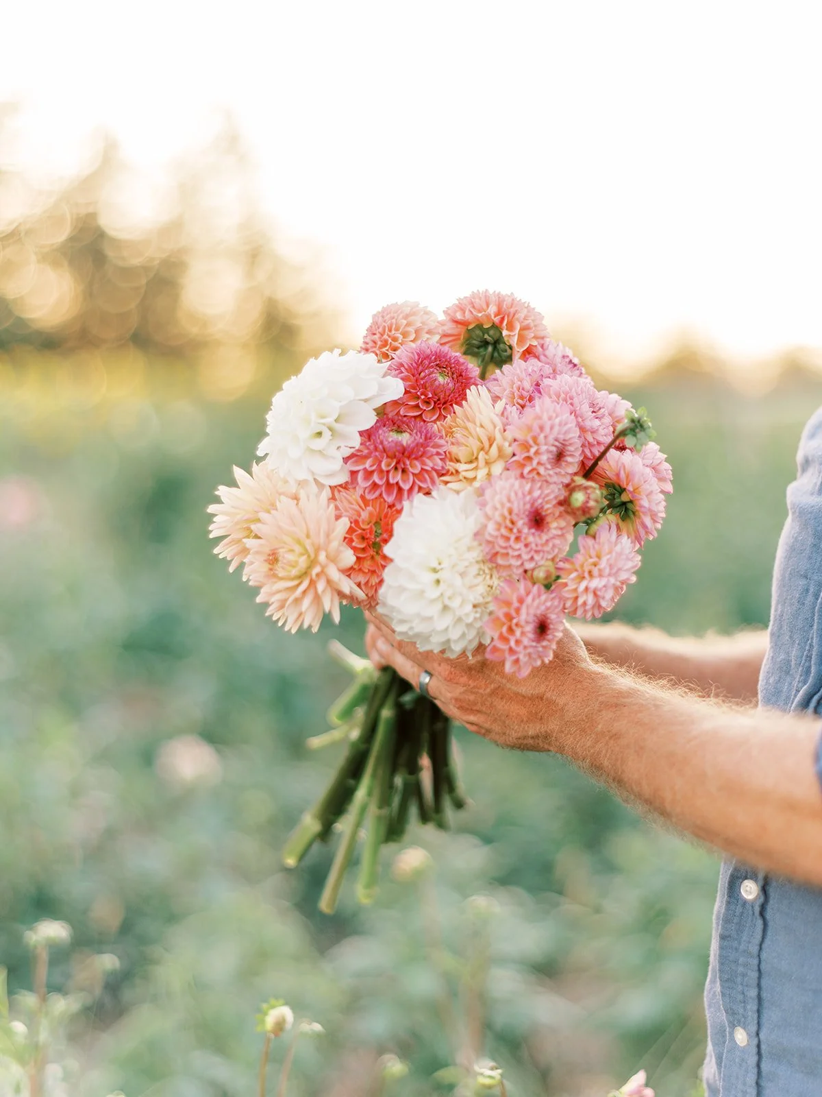 Adam from PepperHarrow holding a big bouquet of multiple colored pastel dahlias in the flower field