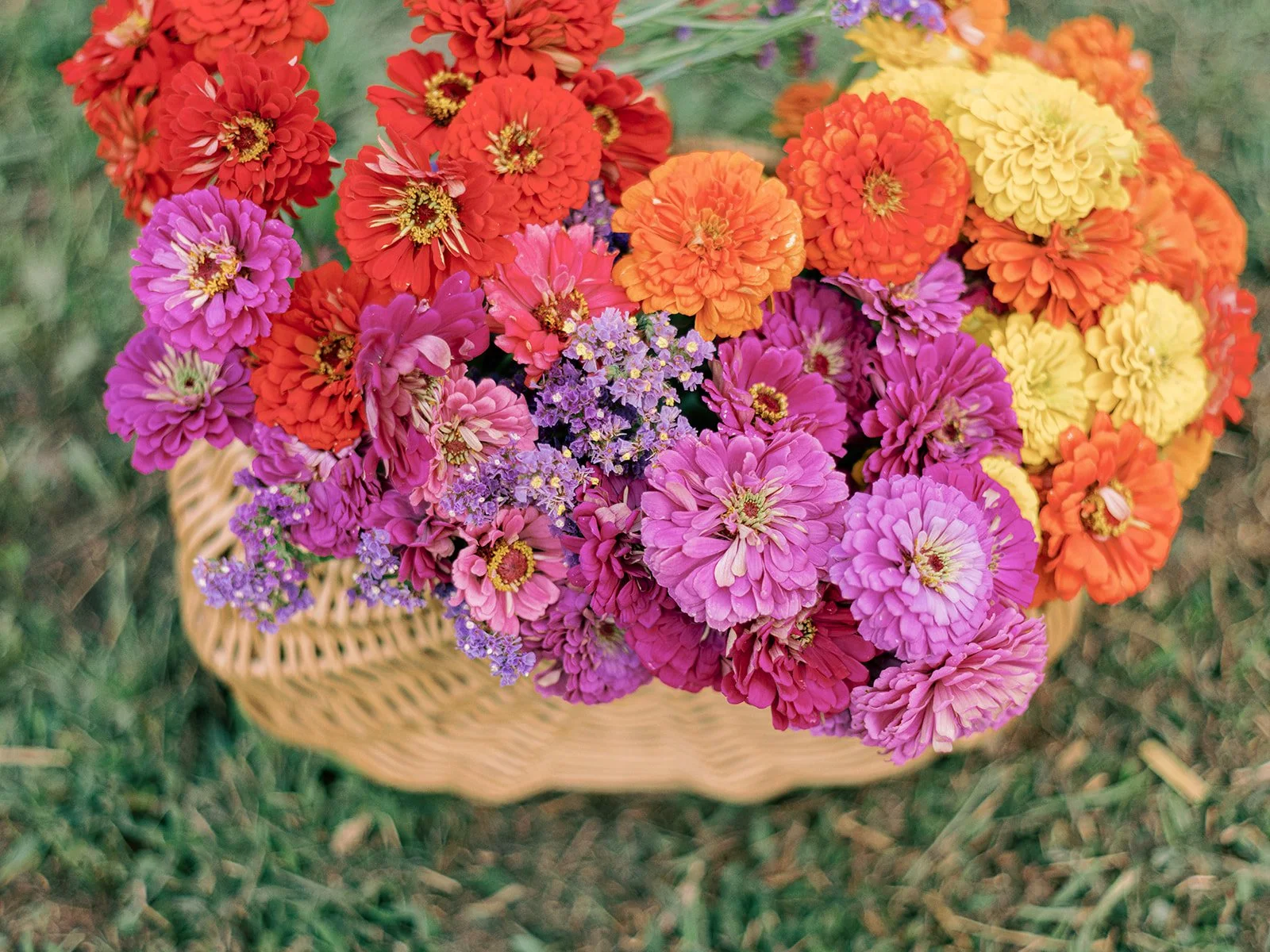 A basket filled with colorful flowers including pink, purple, orange, and yellow blossoms, placed on grass.