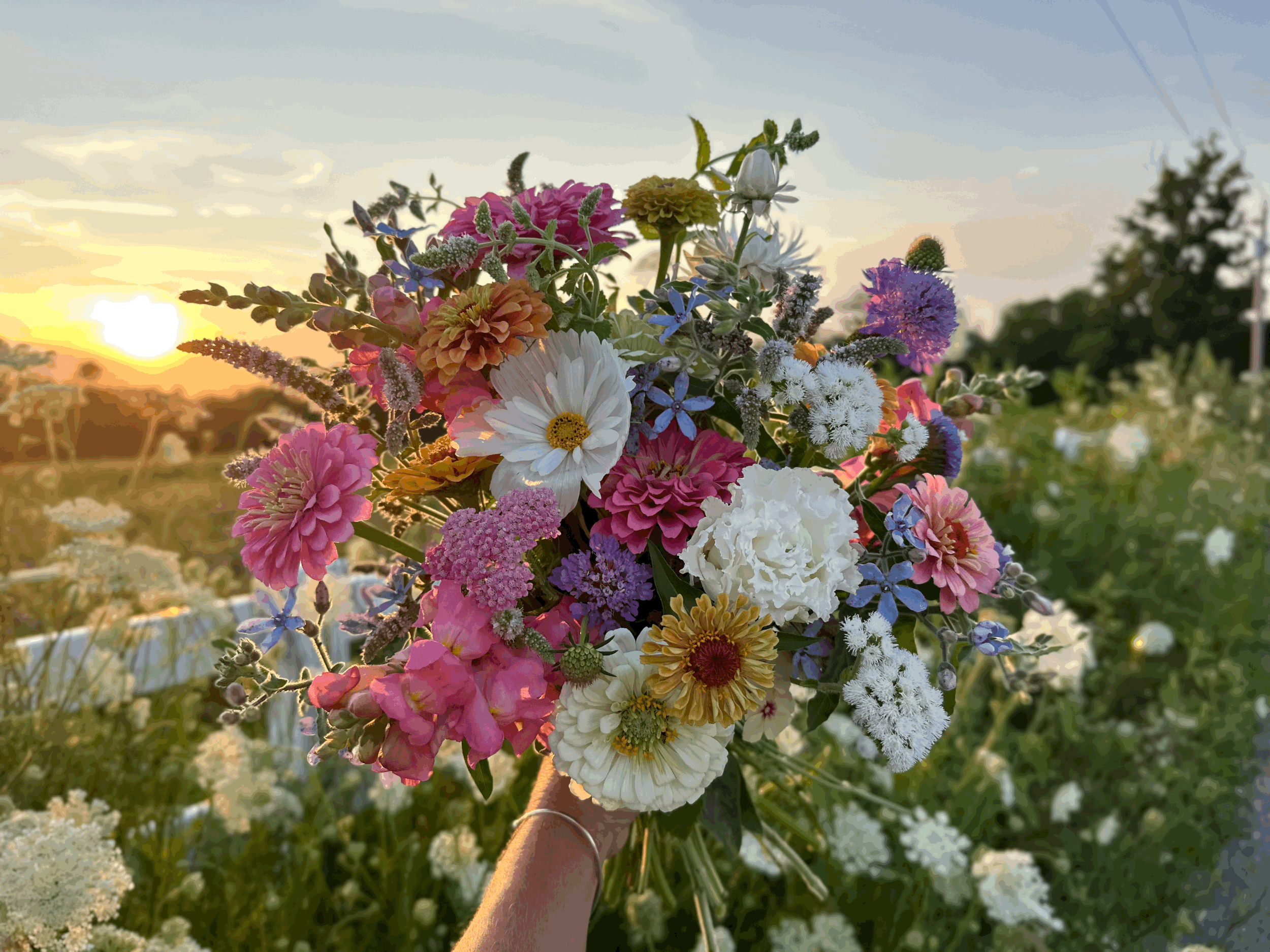 Cut Your Own Bouquet Sunday, August 30th Noon-4PM