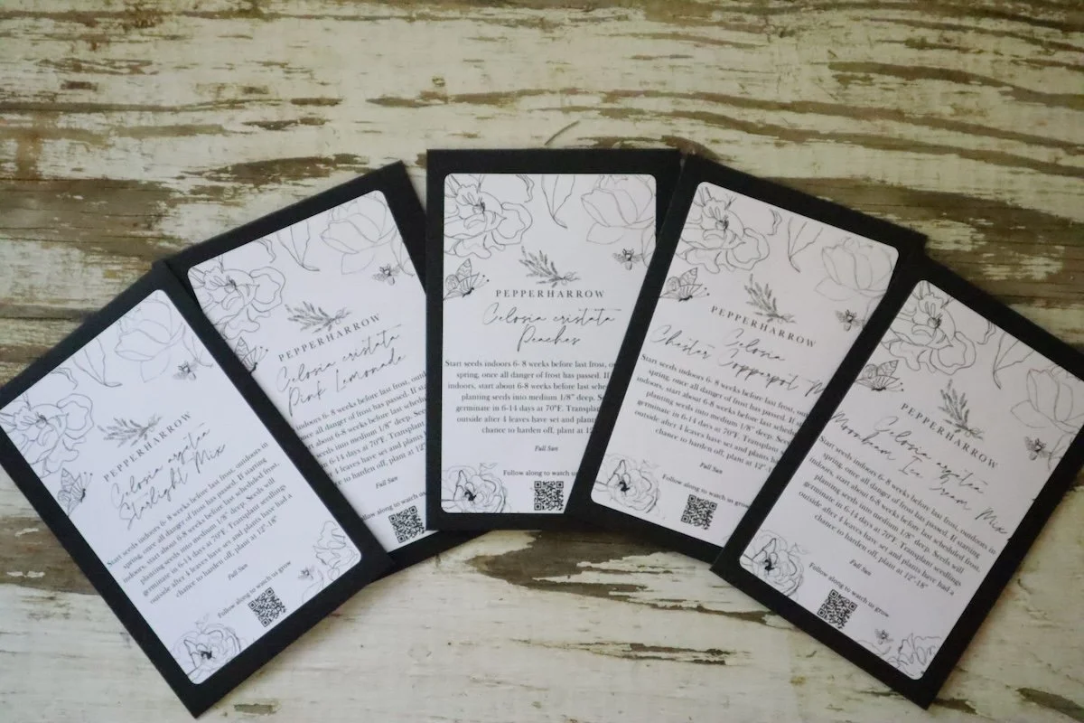 Welcoming Spring Plant POP-UP